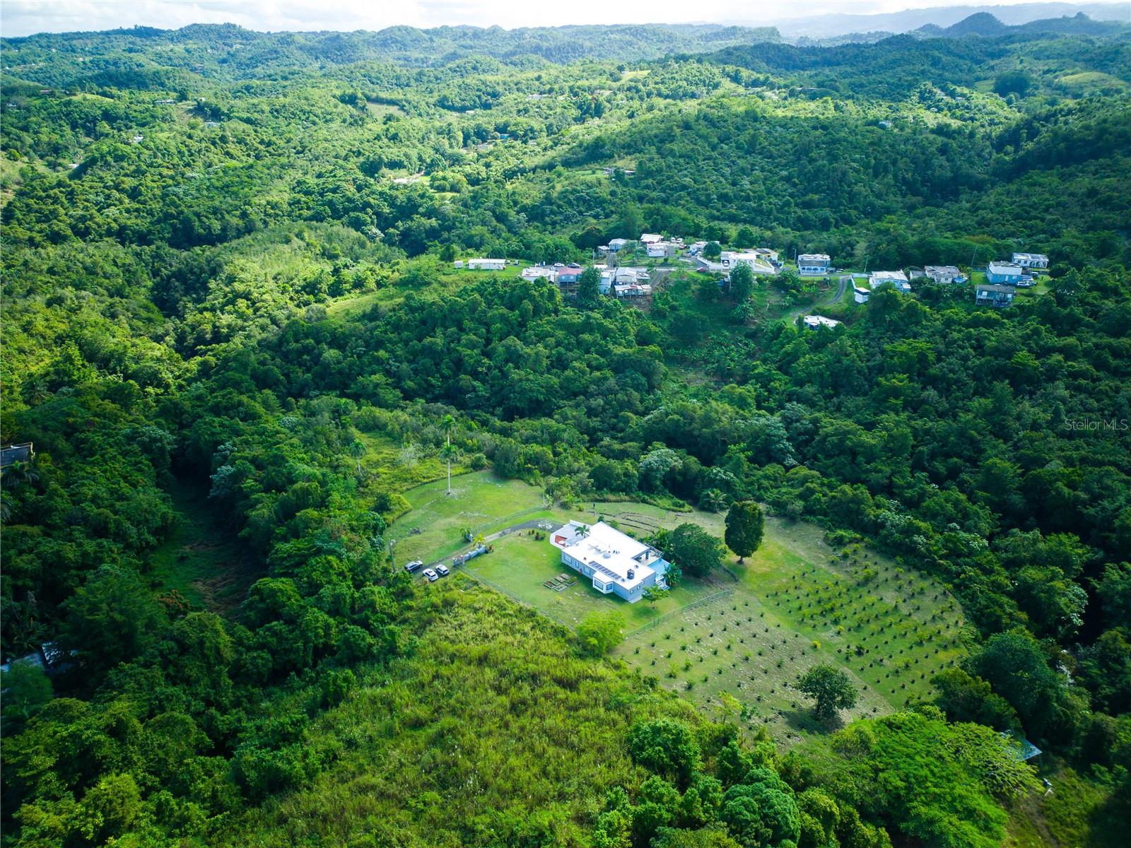 Carr 6645 SEC.NARVAEZ