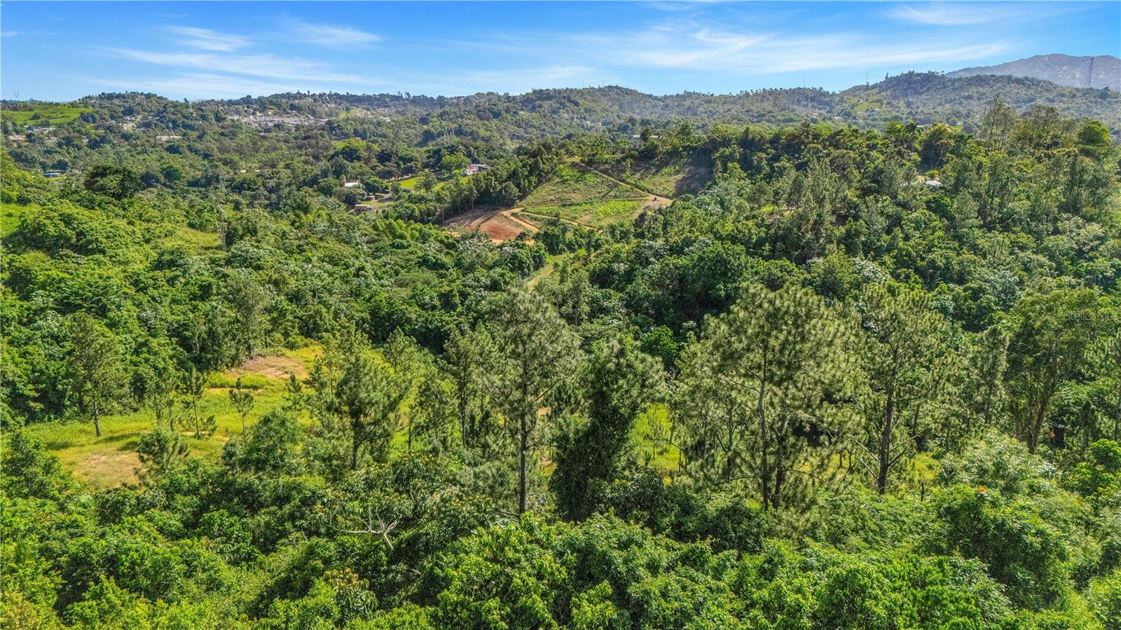 63 SECTOR MONTICELLO