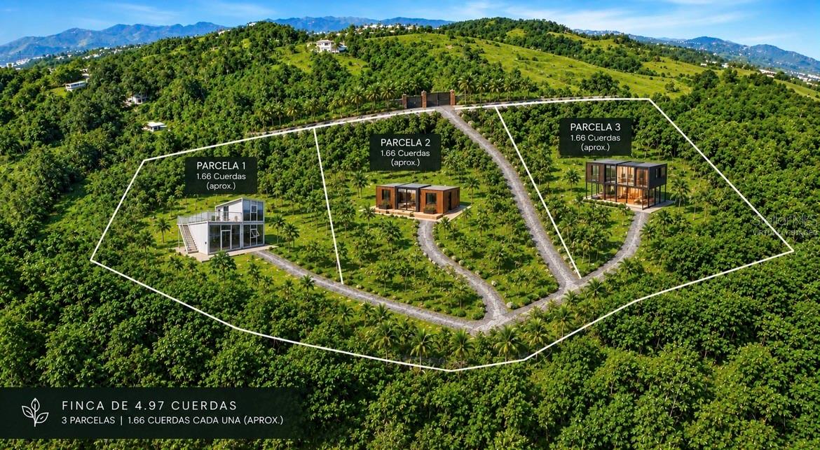 Aerial view of three outlined parcels among palms, with access roads and house renderings against distant mountains.