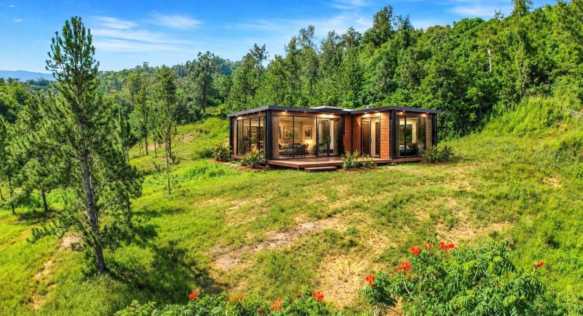 Modern glass-and-wood home on a grassy hillside surrounded by pine trees and woodland.