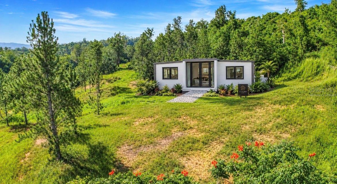 Modern white house on a grassy clearing, surrounded by pine trees, with a path leading to its glass entrance.