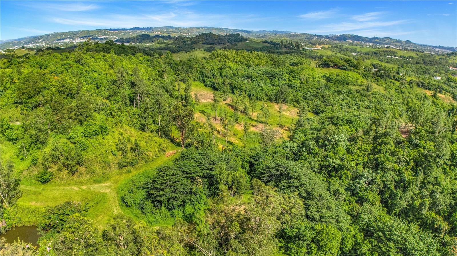 Aerial view of wooded land with grassy clearings, a small pond, and rolling hills in the distance.