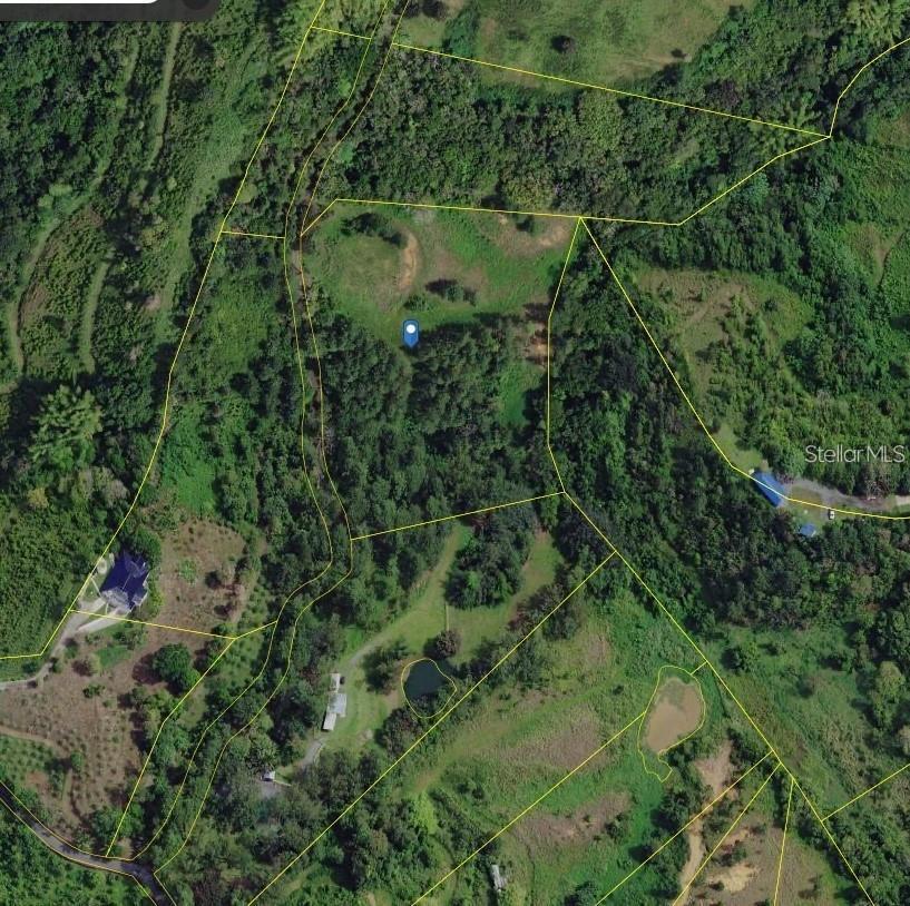 Aerial view of wooded land with parcel boundaries, a central clearing, and nearby rural homes.