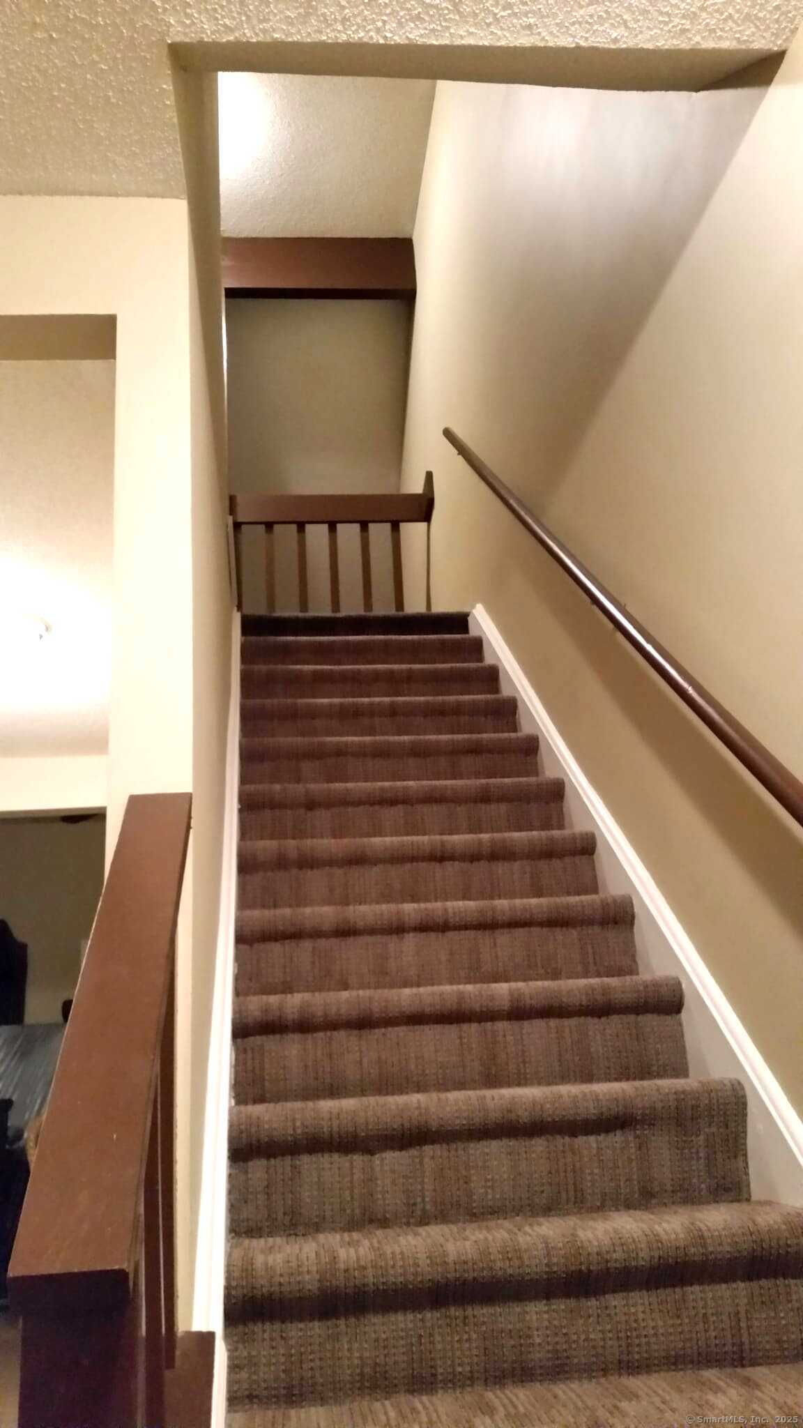 25 Judson Street APT C