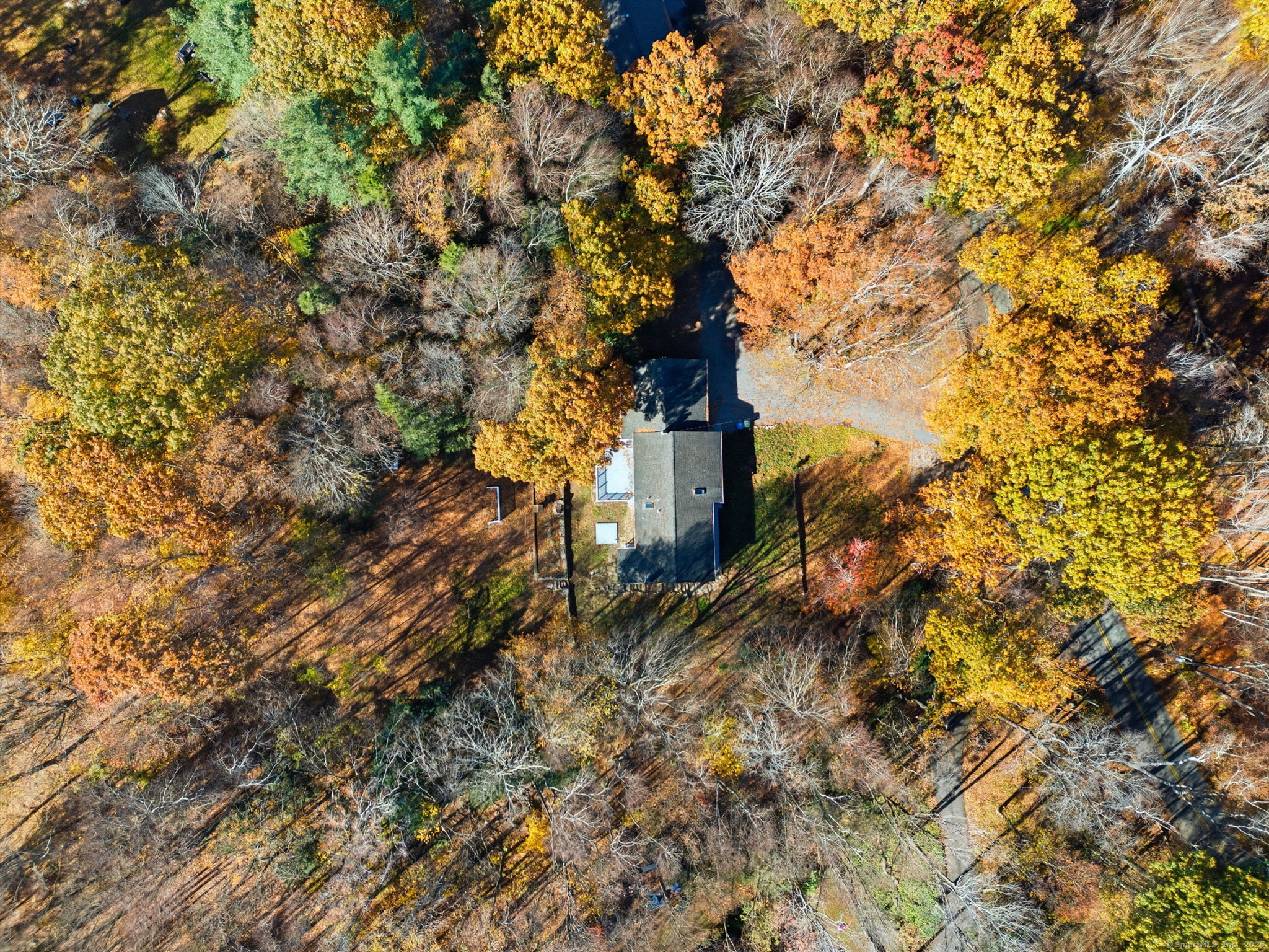 75 White Plains Road