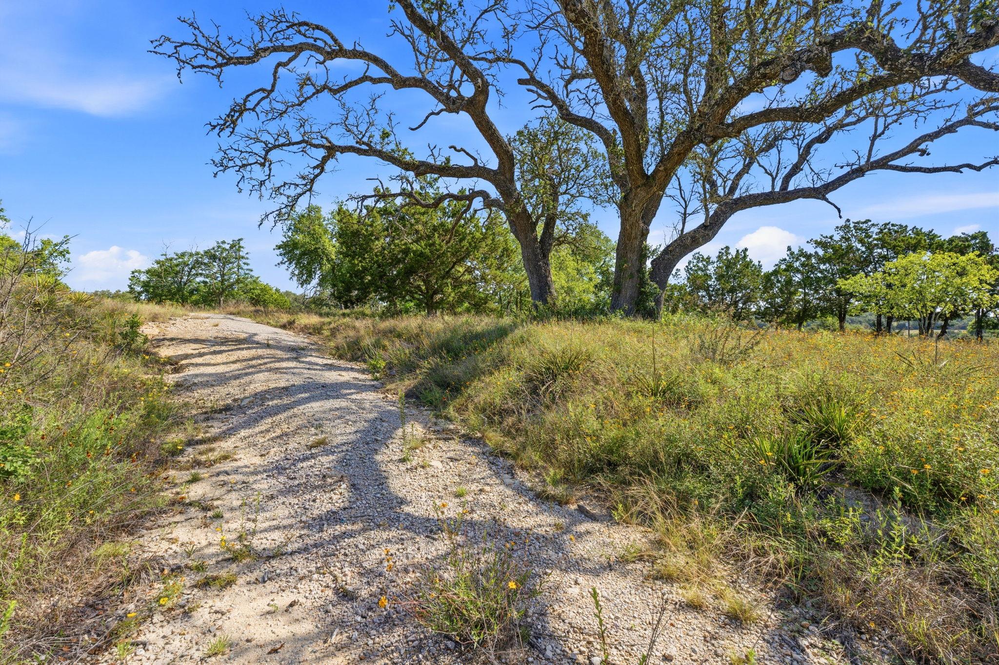 4400 W Highway 290