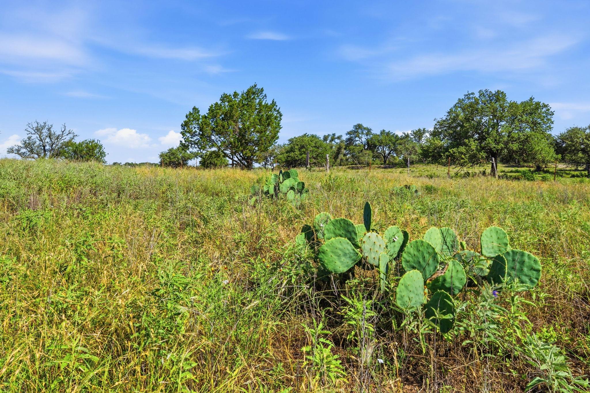 4400 W Highway 290
