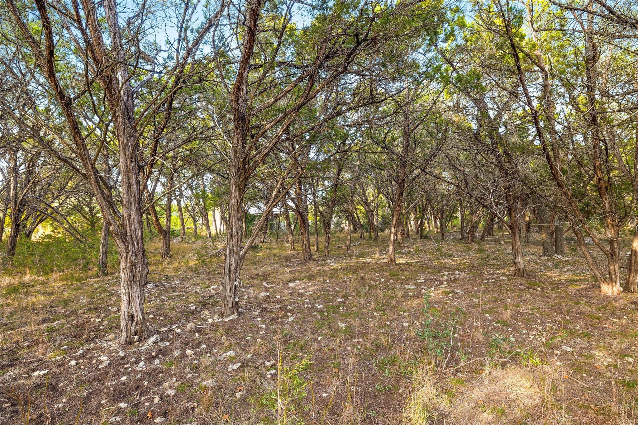 10107 Davy Crockett DR