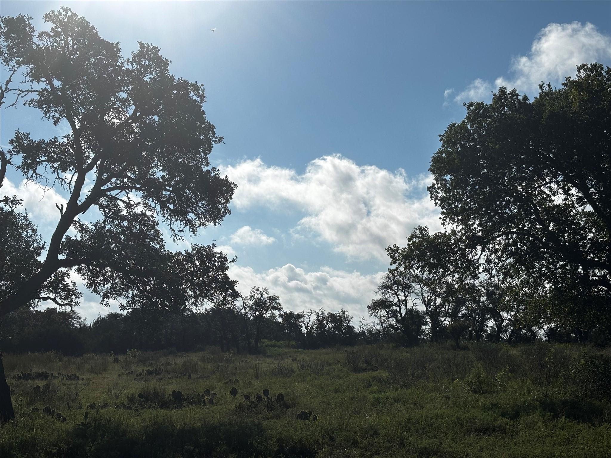 Lot #8 , Calle Del Sol DR