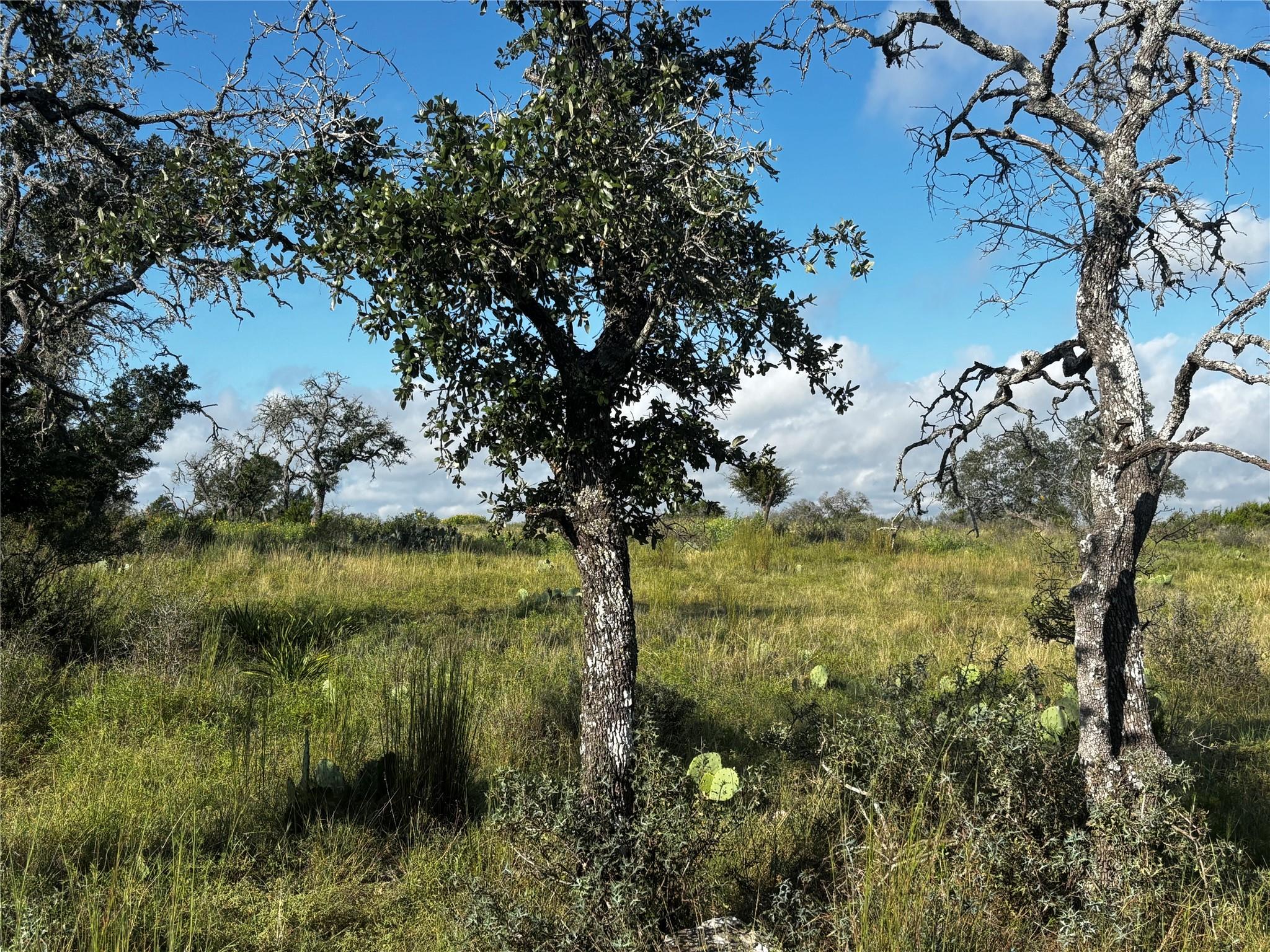 Lot #8 , Calle Del Sol DR