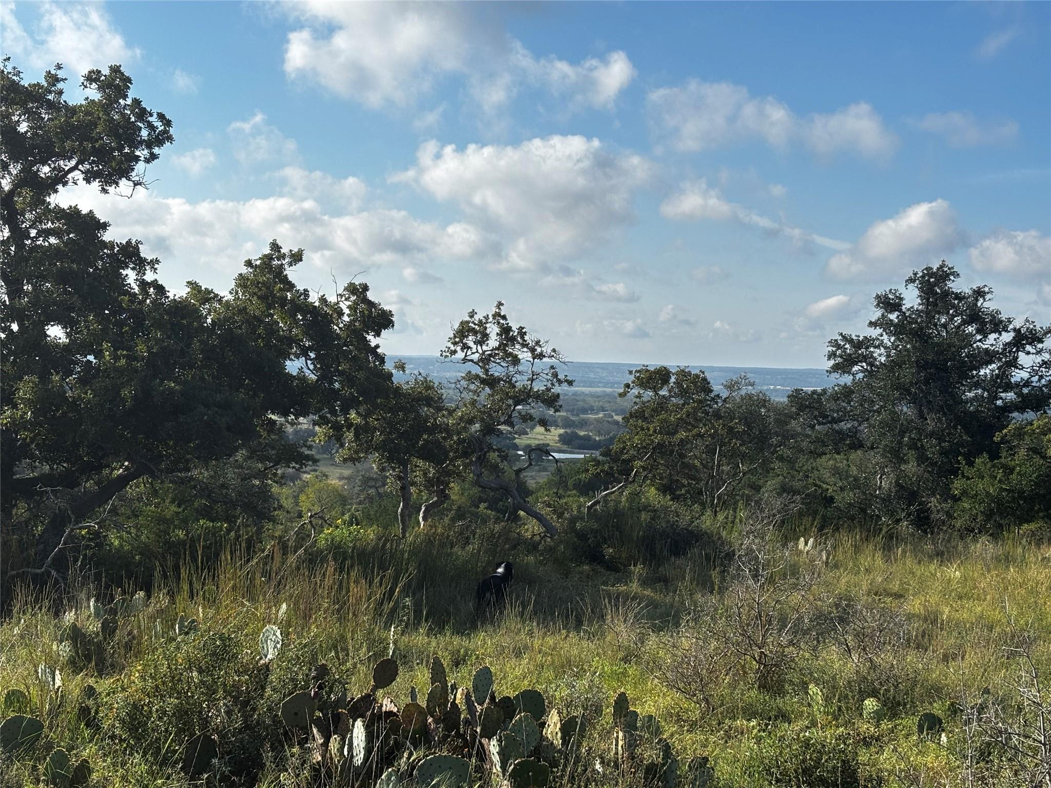 Lot #8 , Calle Del Sol DR