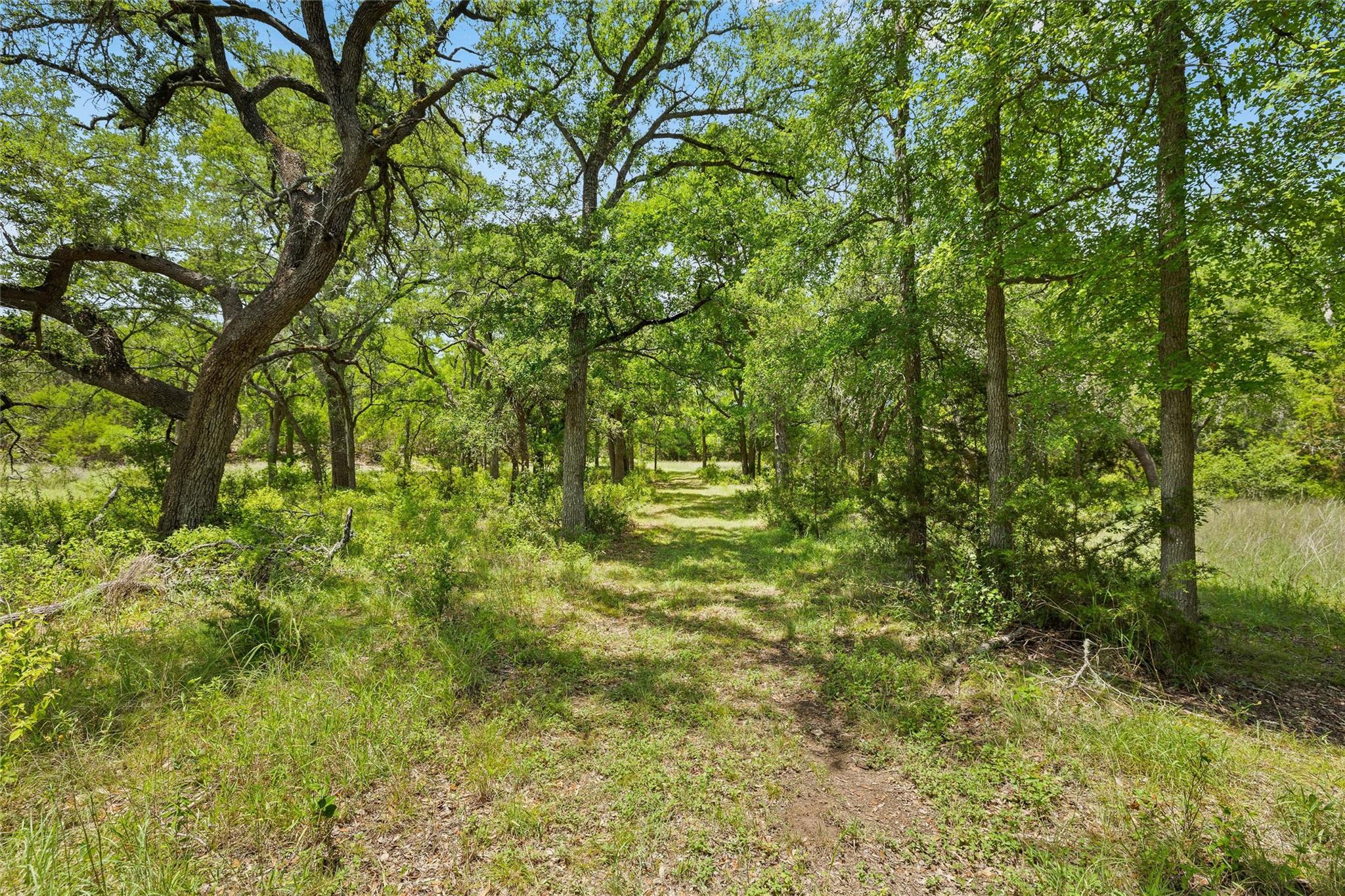 1128 Posey Ranch RD