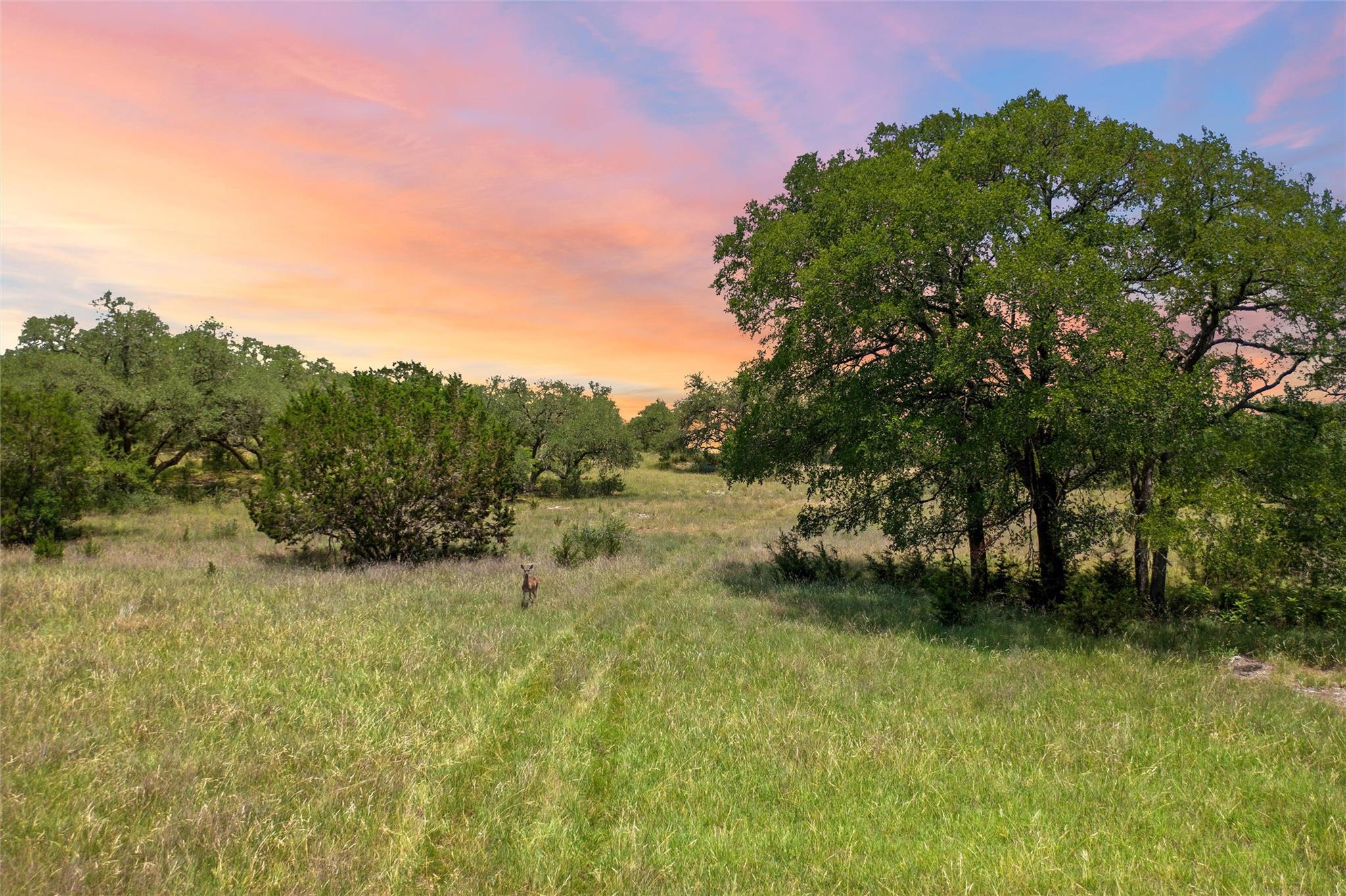 1128 Posey Ranch RD