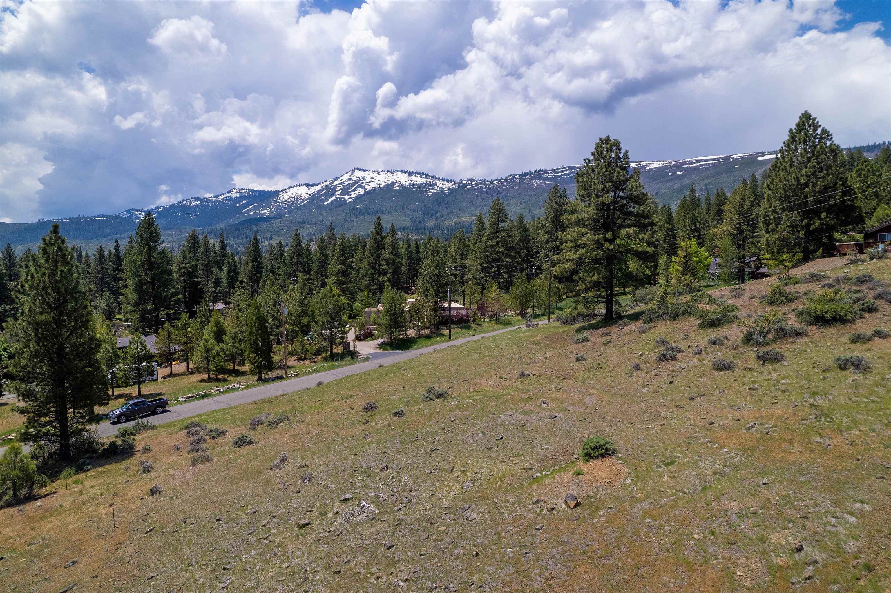810 Pine Cone Drive