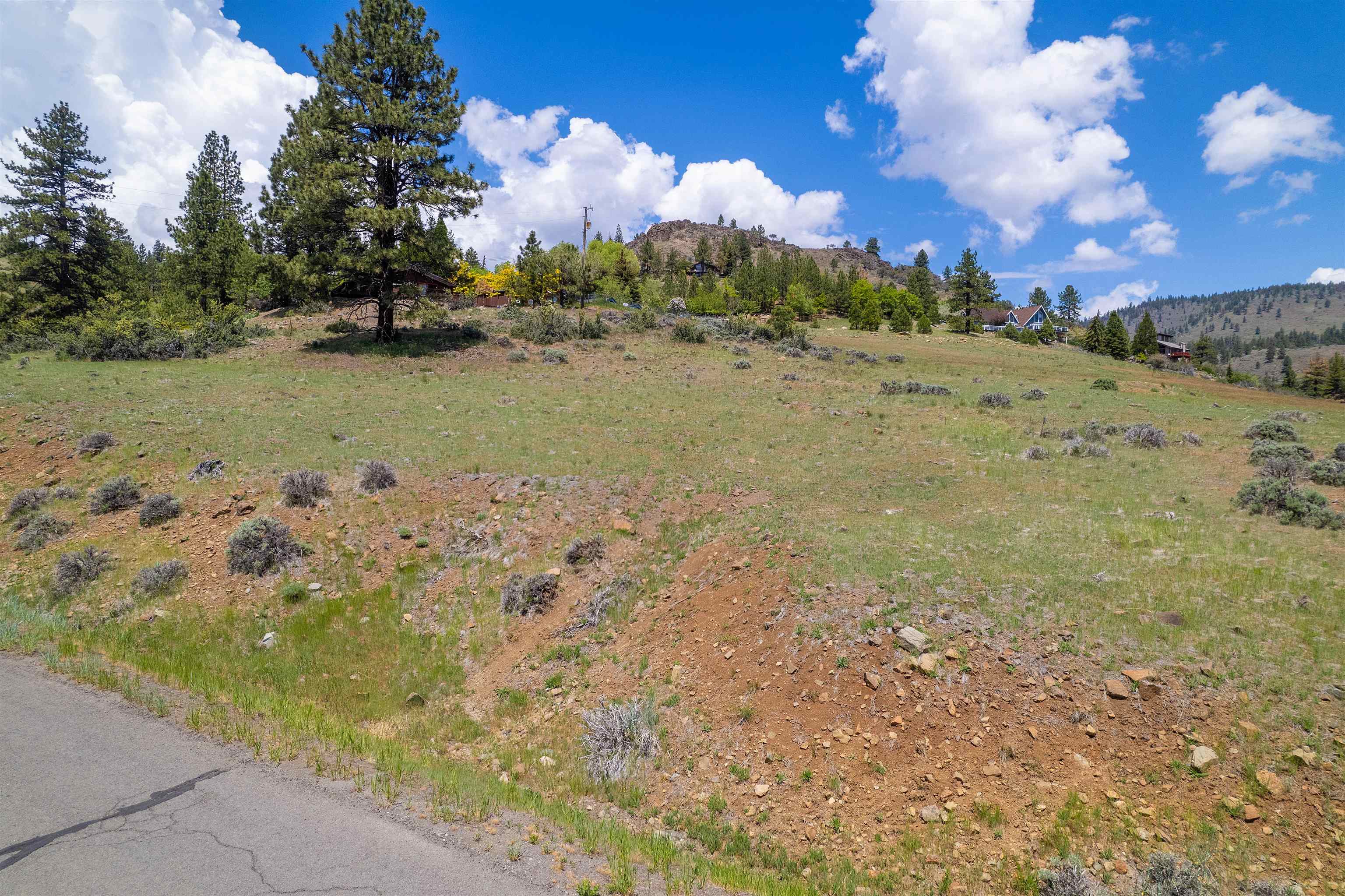 810 Pine Cone Drive