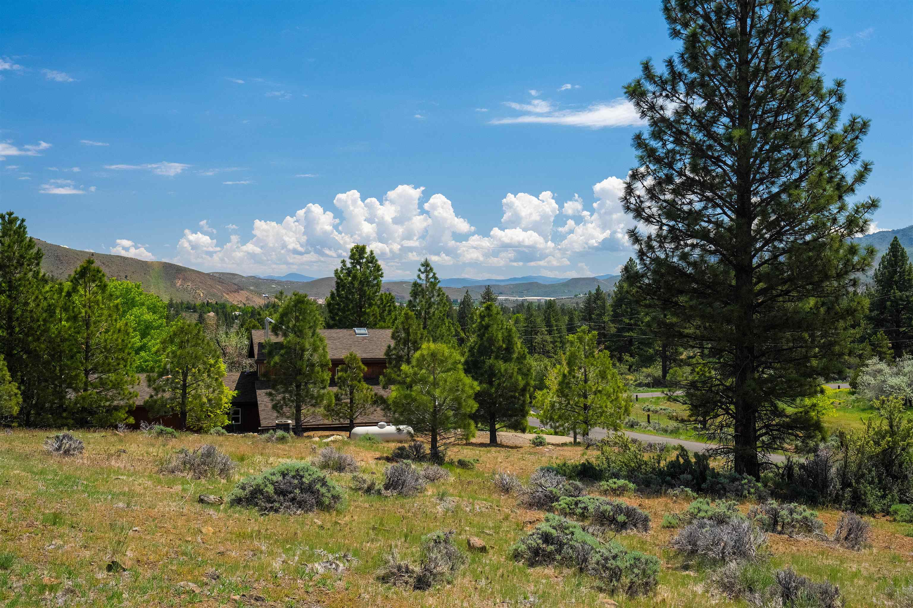 810 Pine Cone Drive