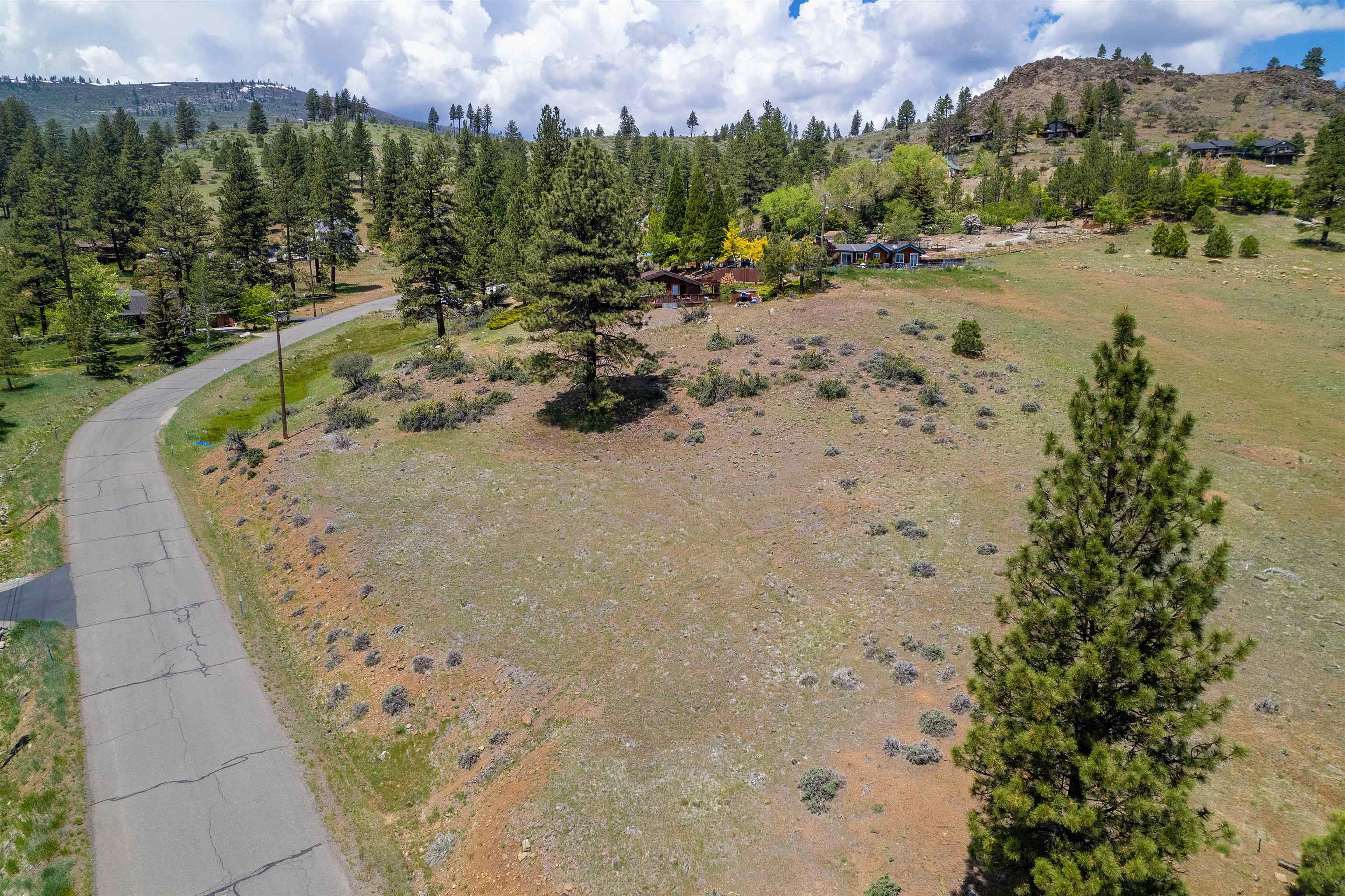 810 Pine Cone Drive