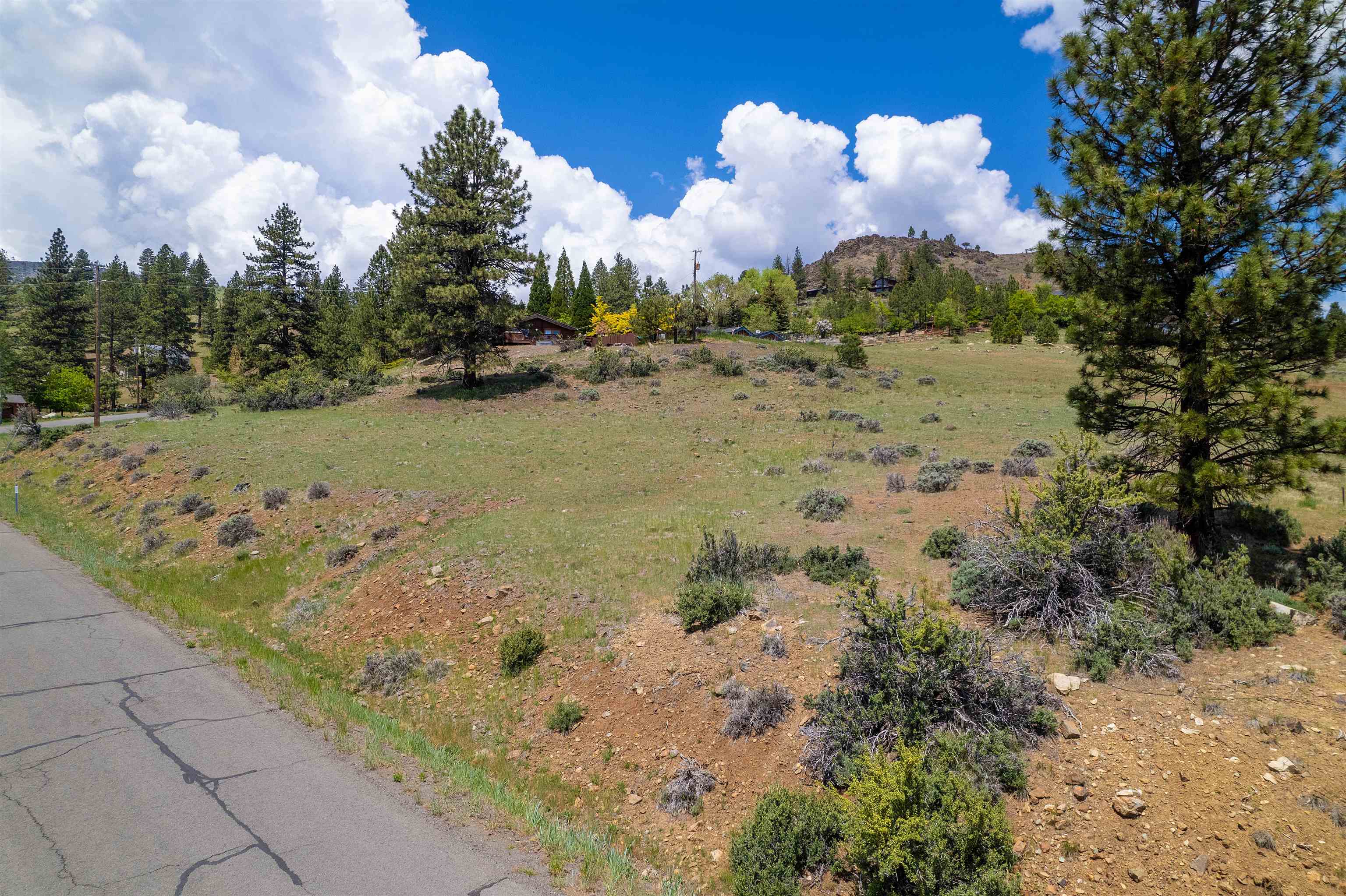 810 Pine Cone Drive
