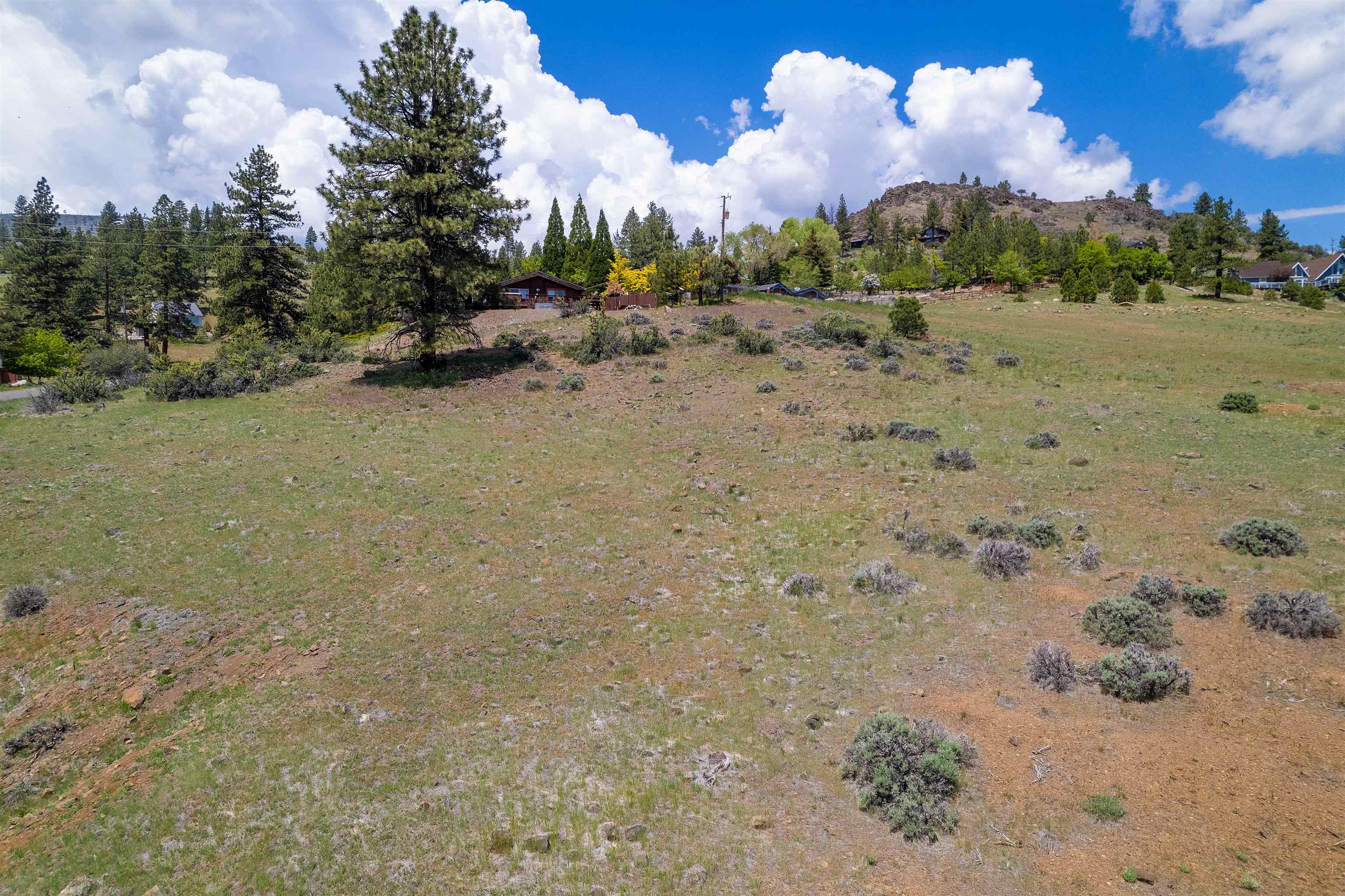 810 Pine Cone Drive