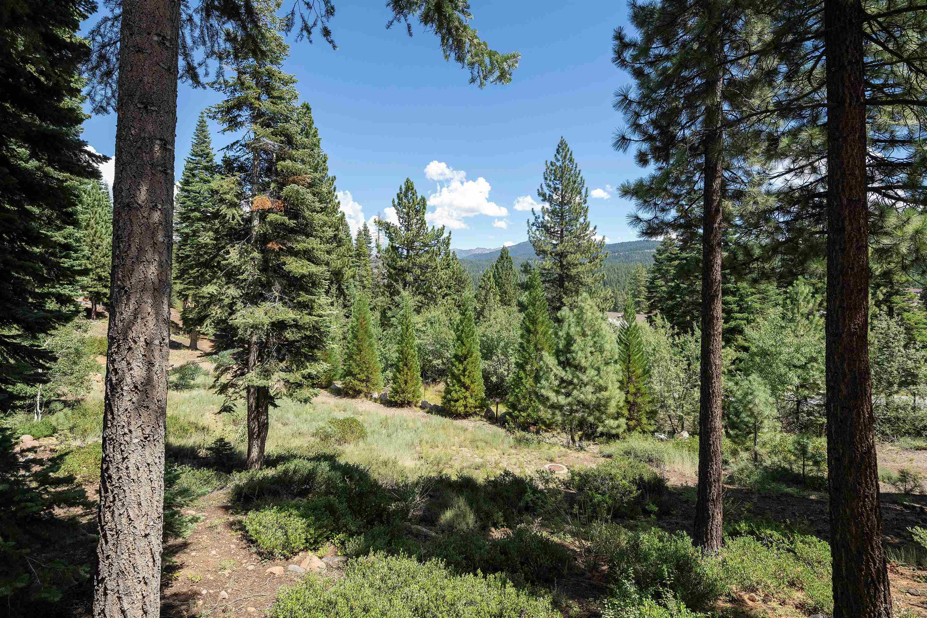 1759 Grouse Ridge Road