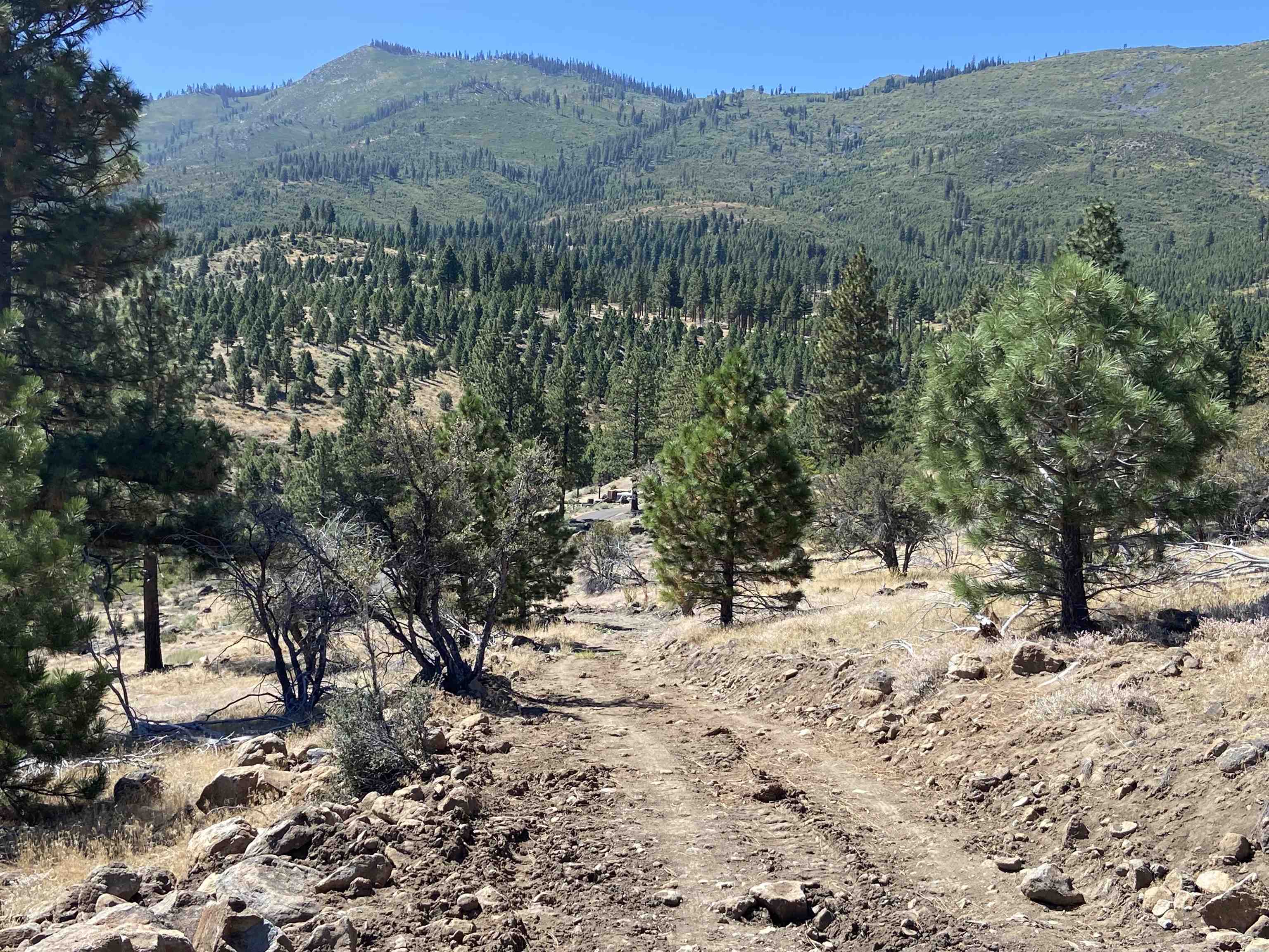 915 Sunrise Creek Road