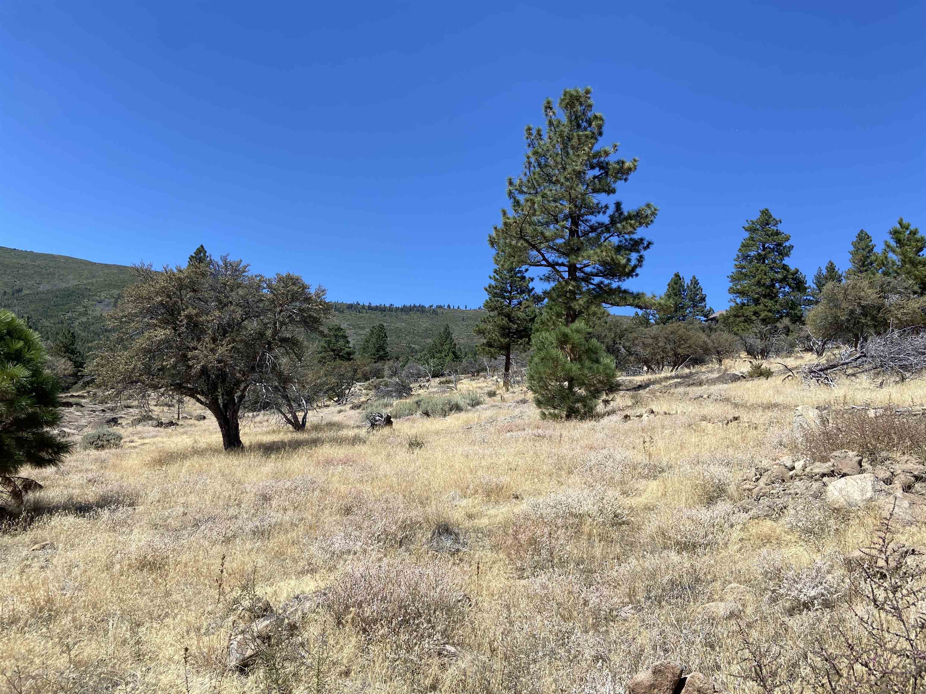 915 Sunrise Creek Road
