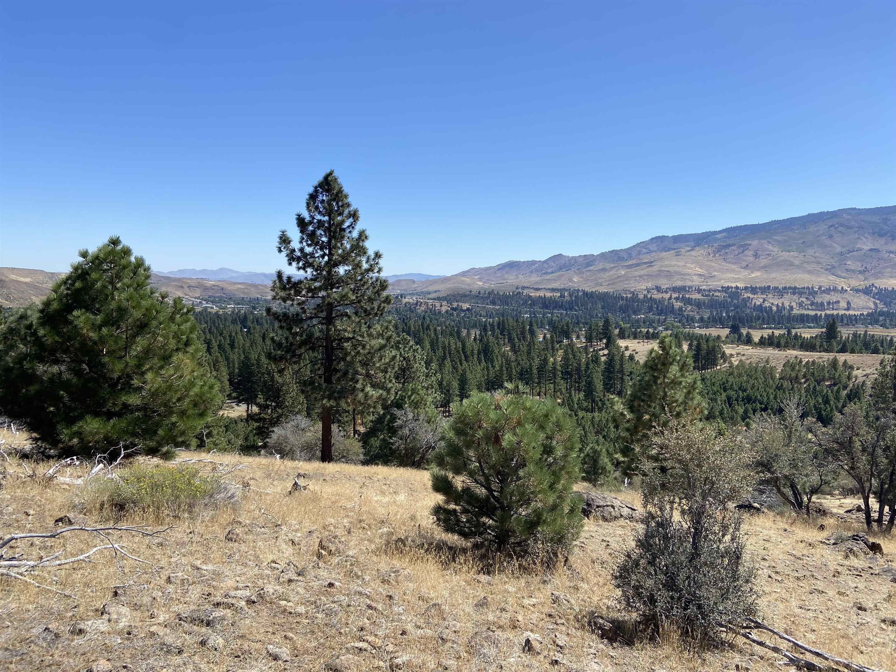 915 Sunrise Creek Road