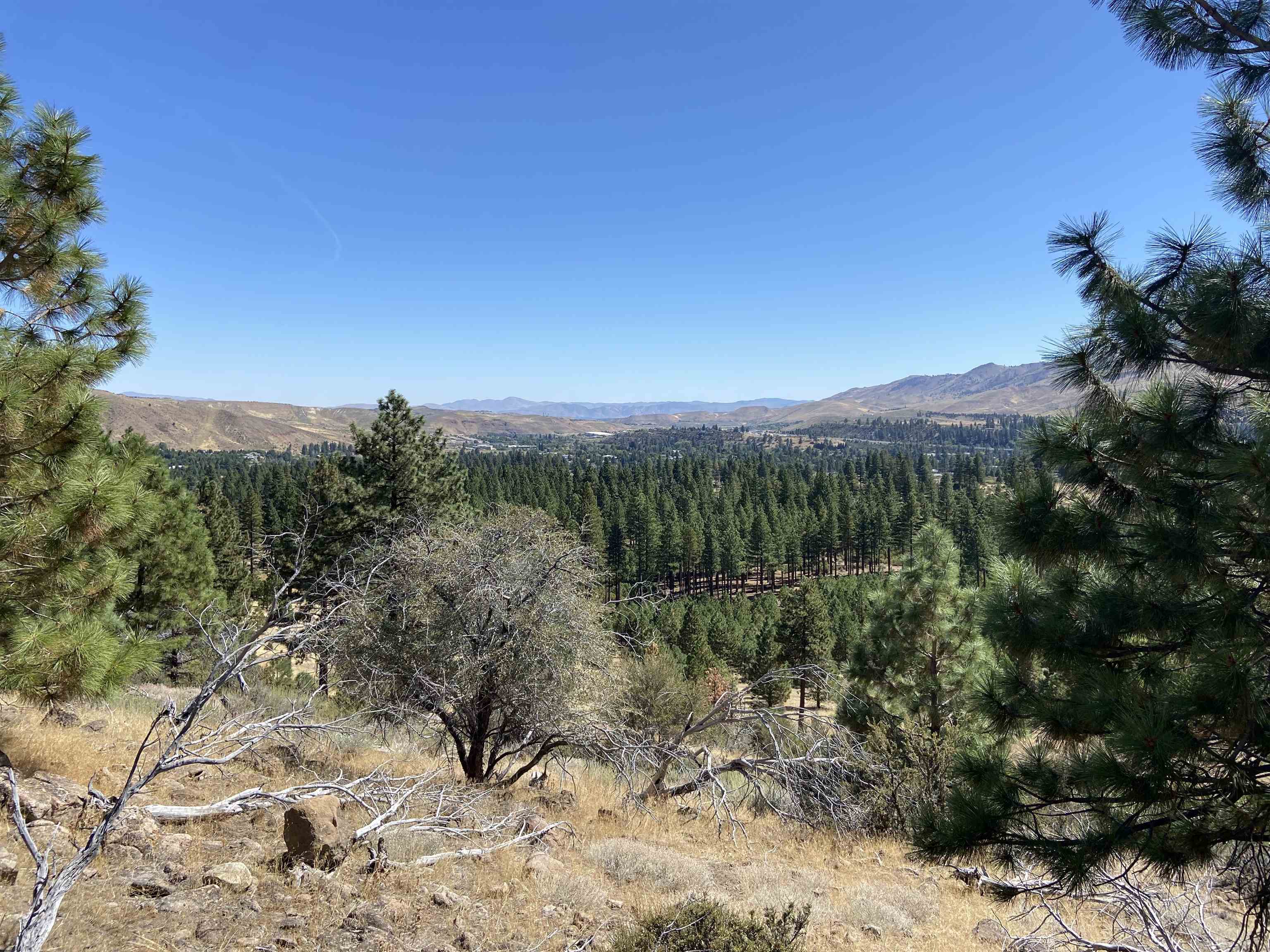 915 Sunrise Creek Road