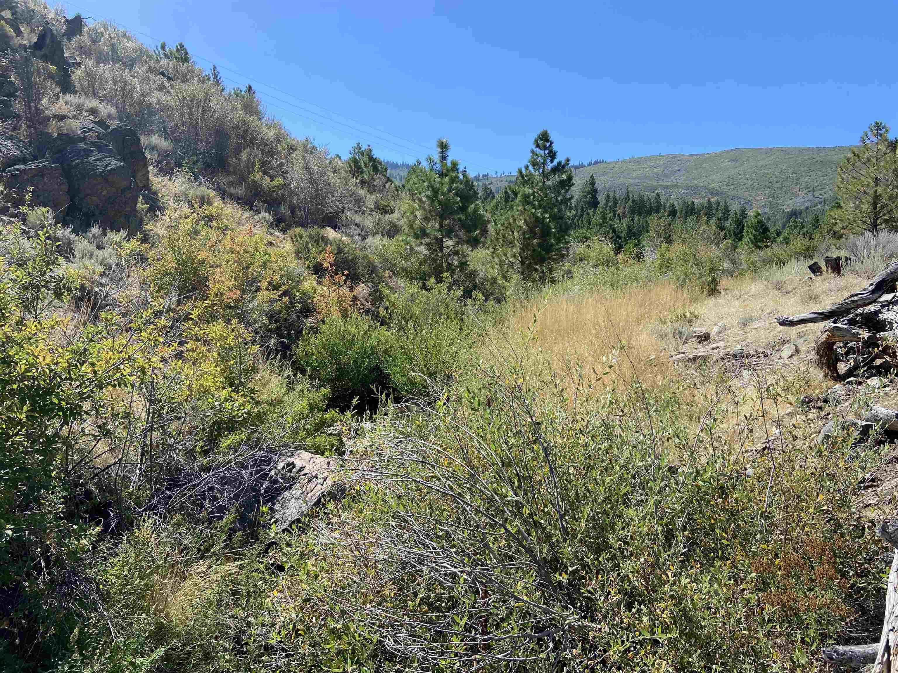 915 Sunrise Creek Road