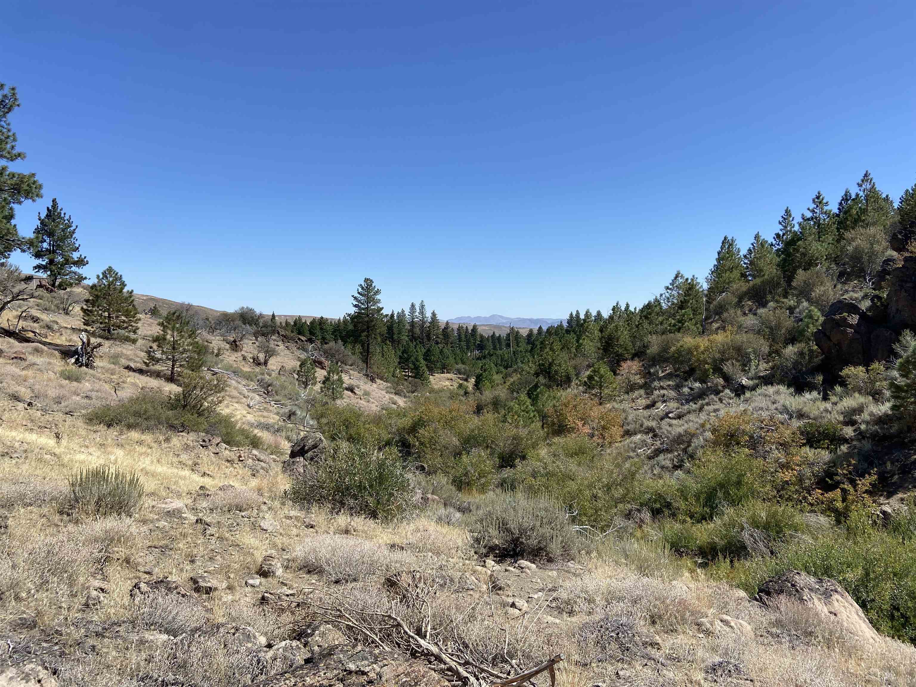 915 Sunrise Creek Road