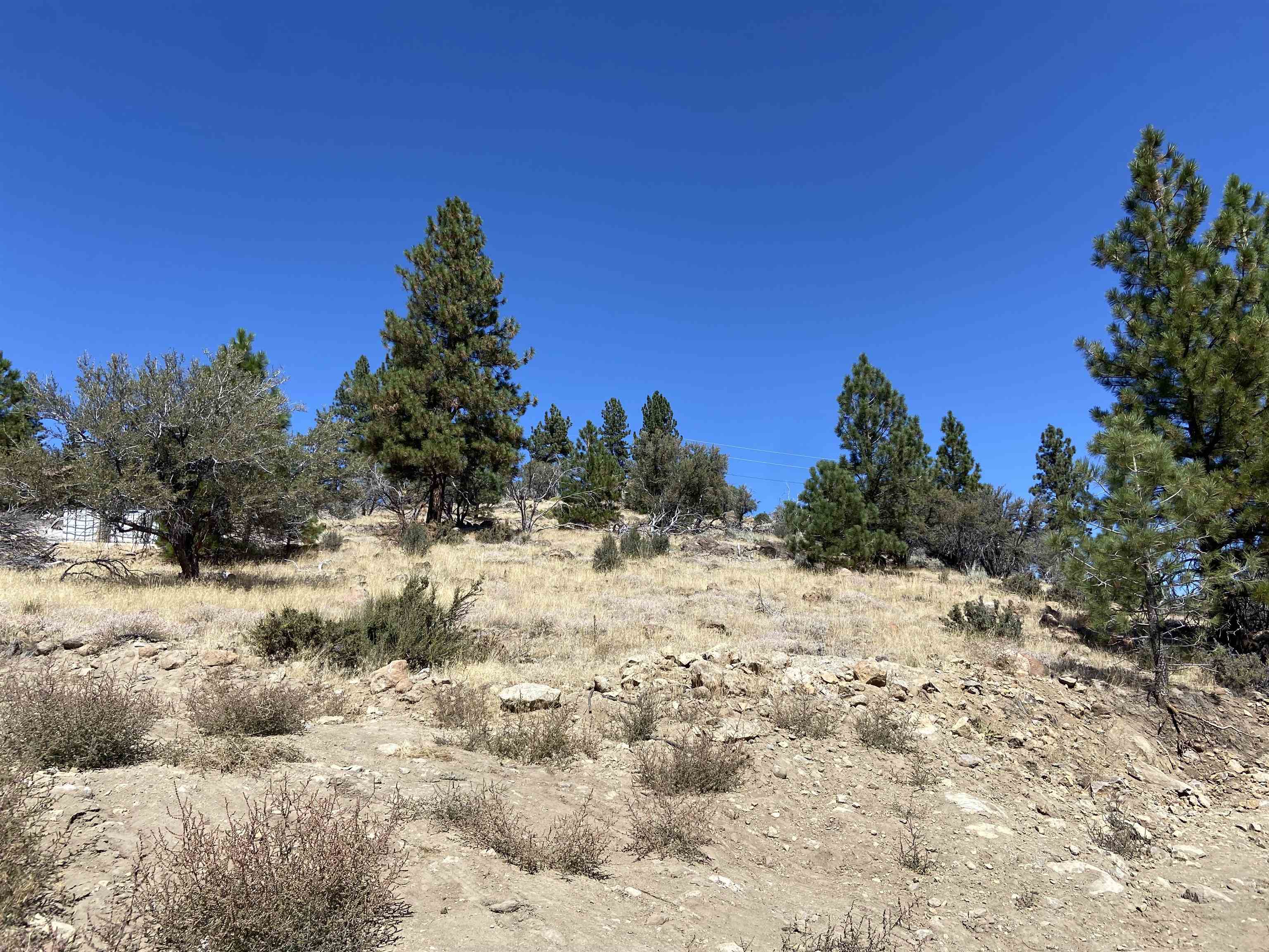 915 Sunrise Creek Road
