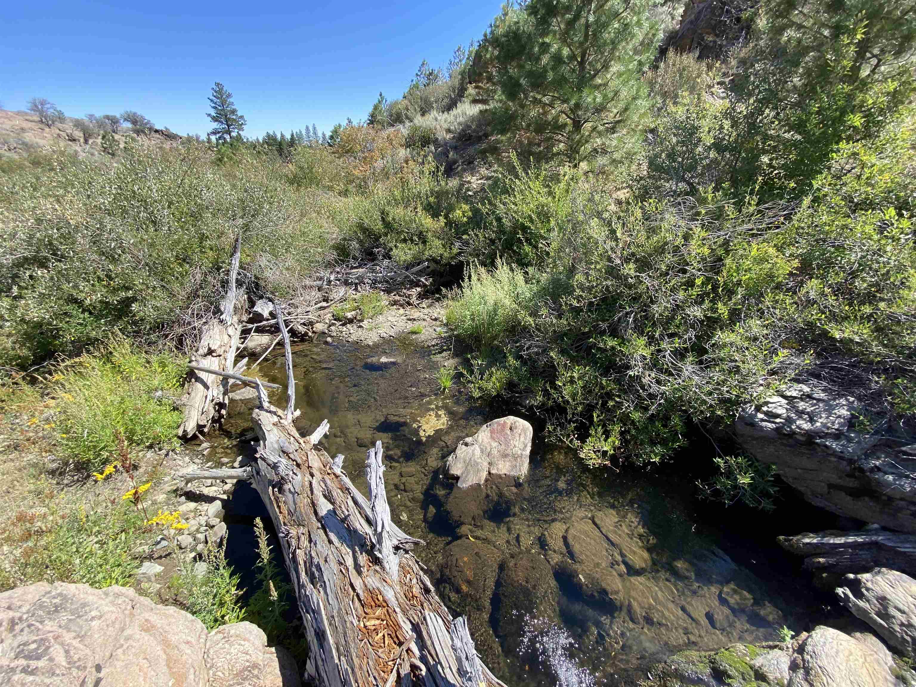 915 Sunrise Creek Road