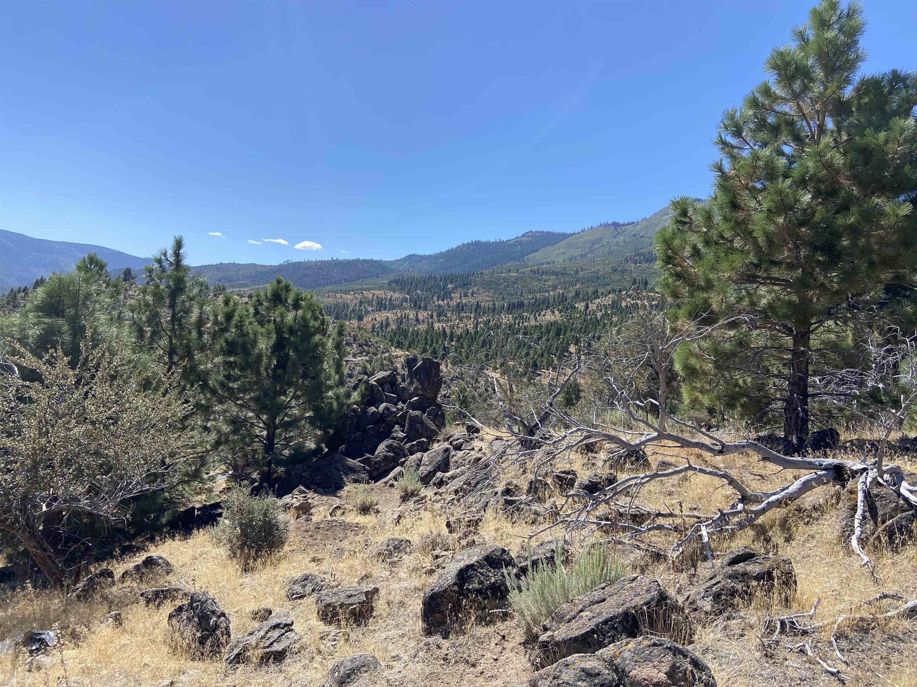 915 Sunrise Creek Road