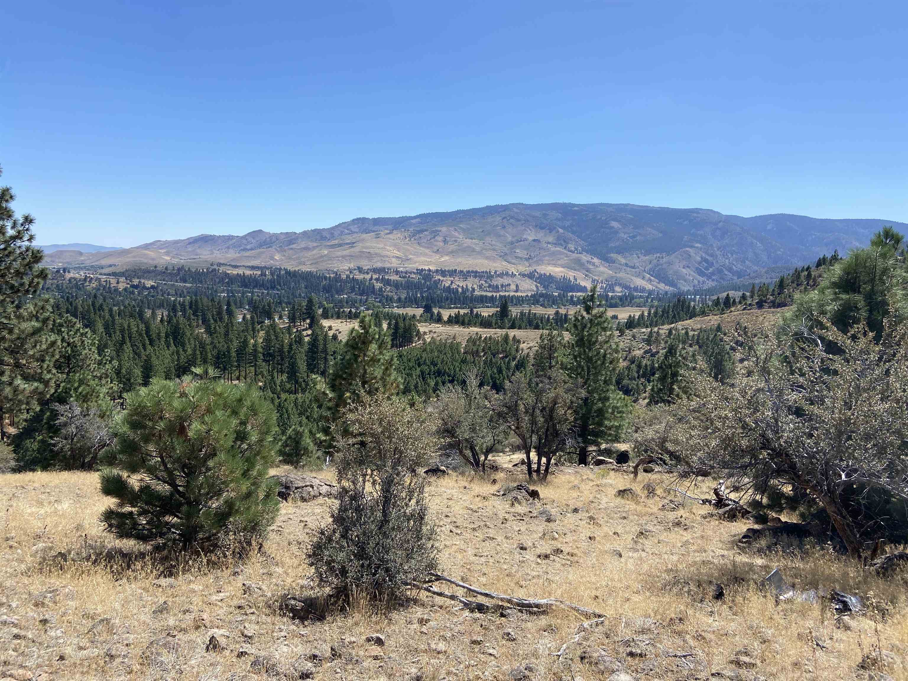 915 Sunrise Creek Road