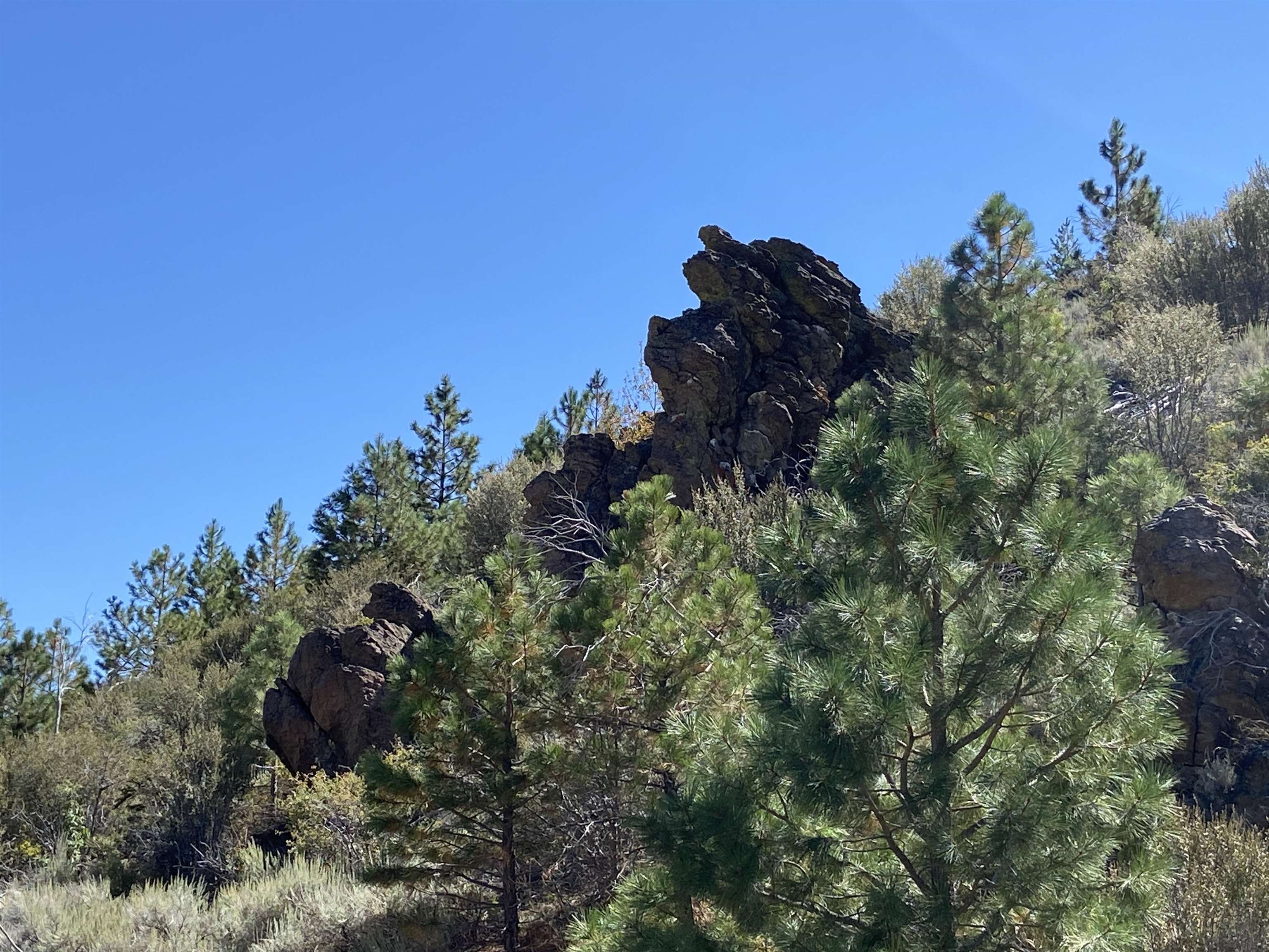 915 Sunrise Creek Road