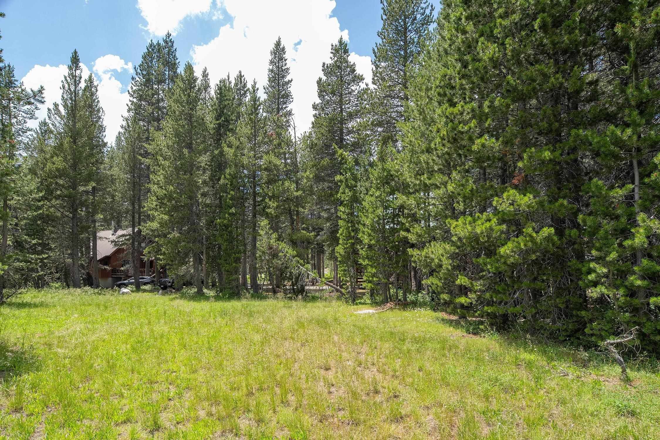 6154 Serene Road