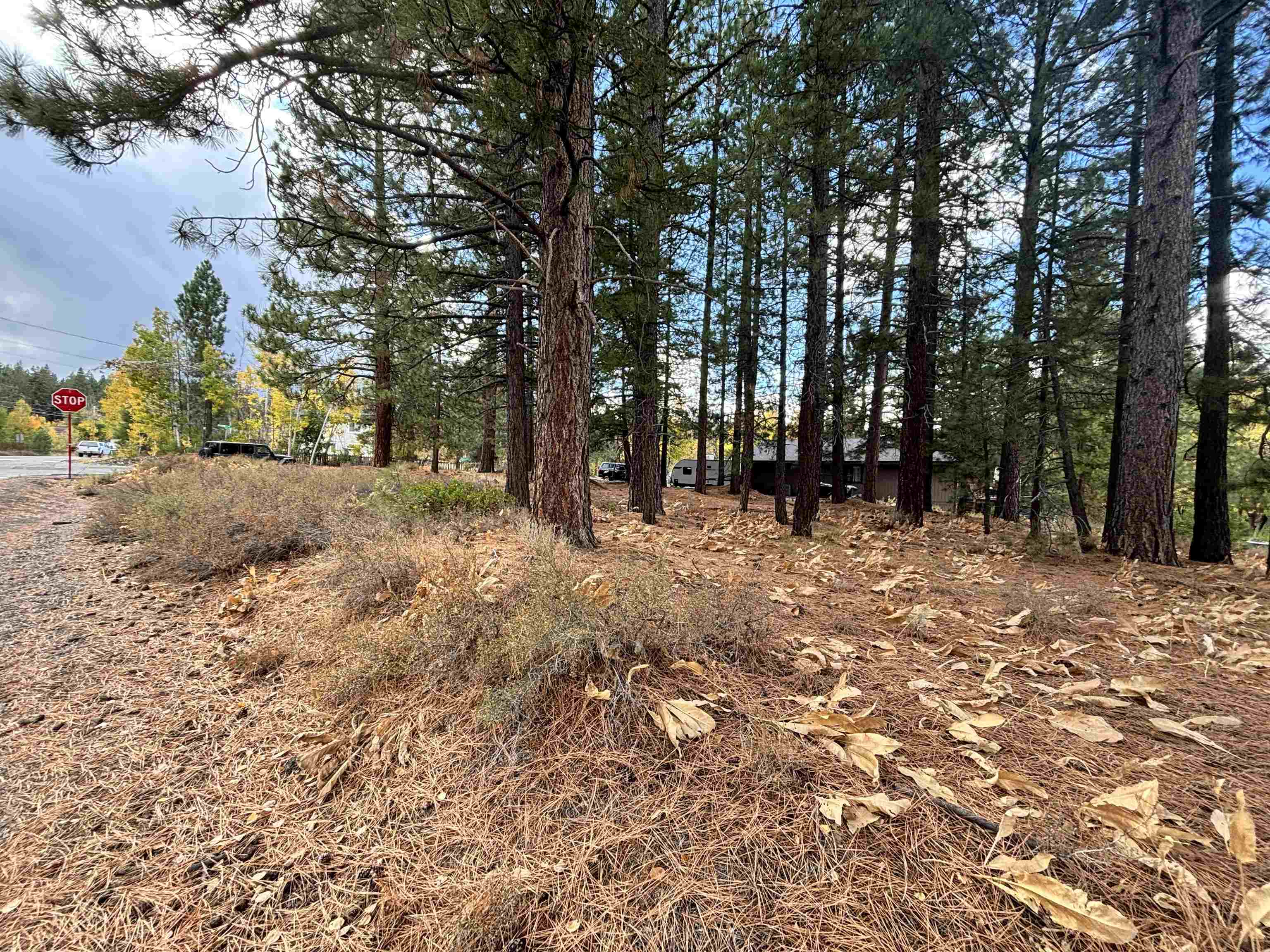 10294 Sugar Pine Road