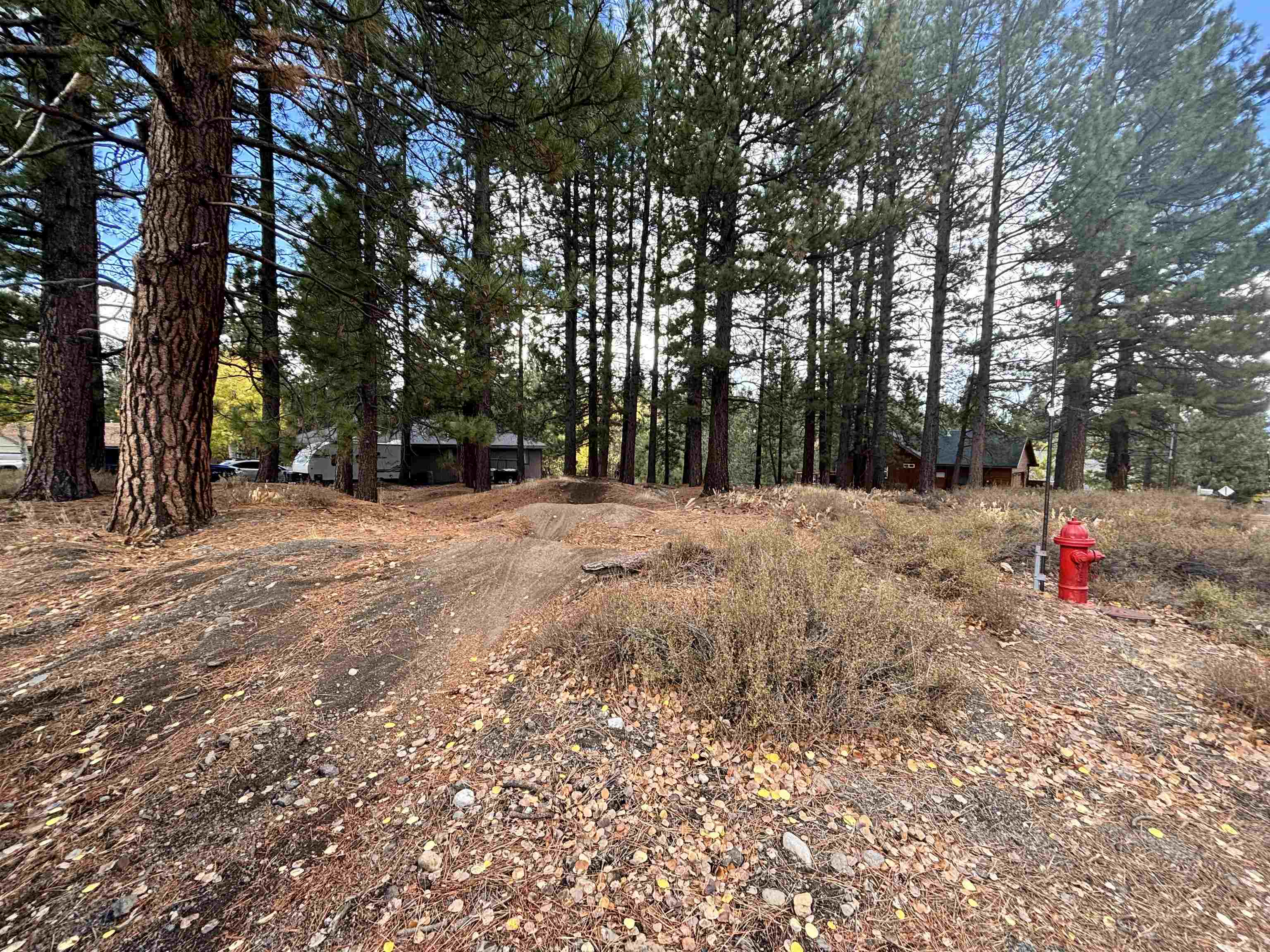 10294 Sugar Pine Road