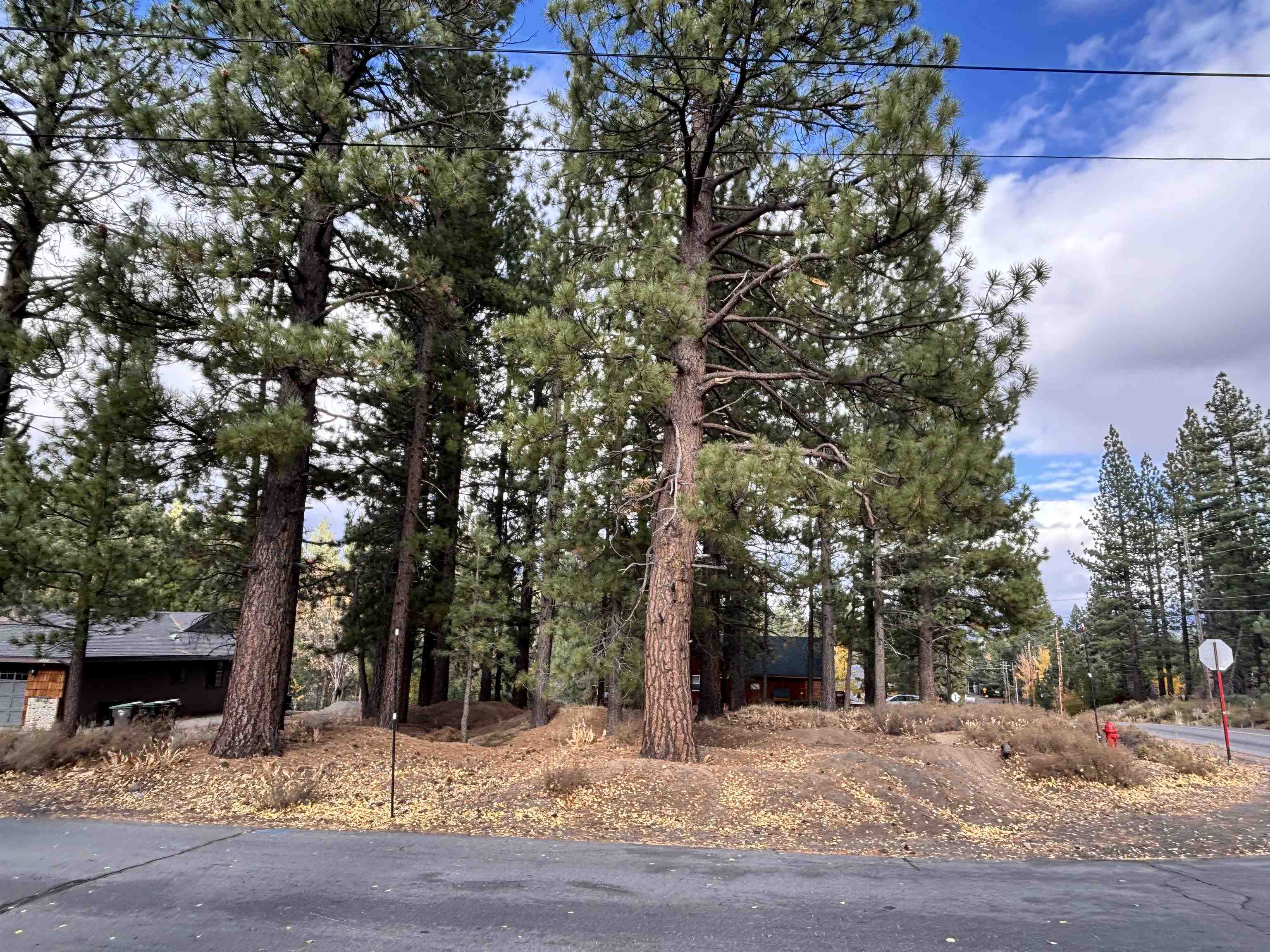 10294 Sugar Pine Road