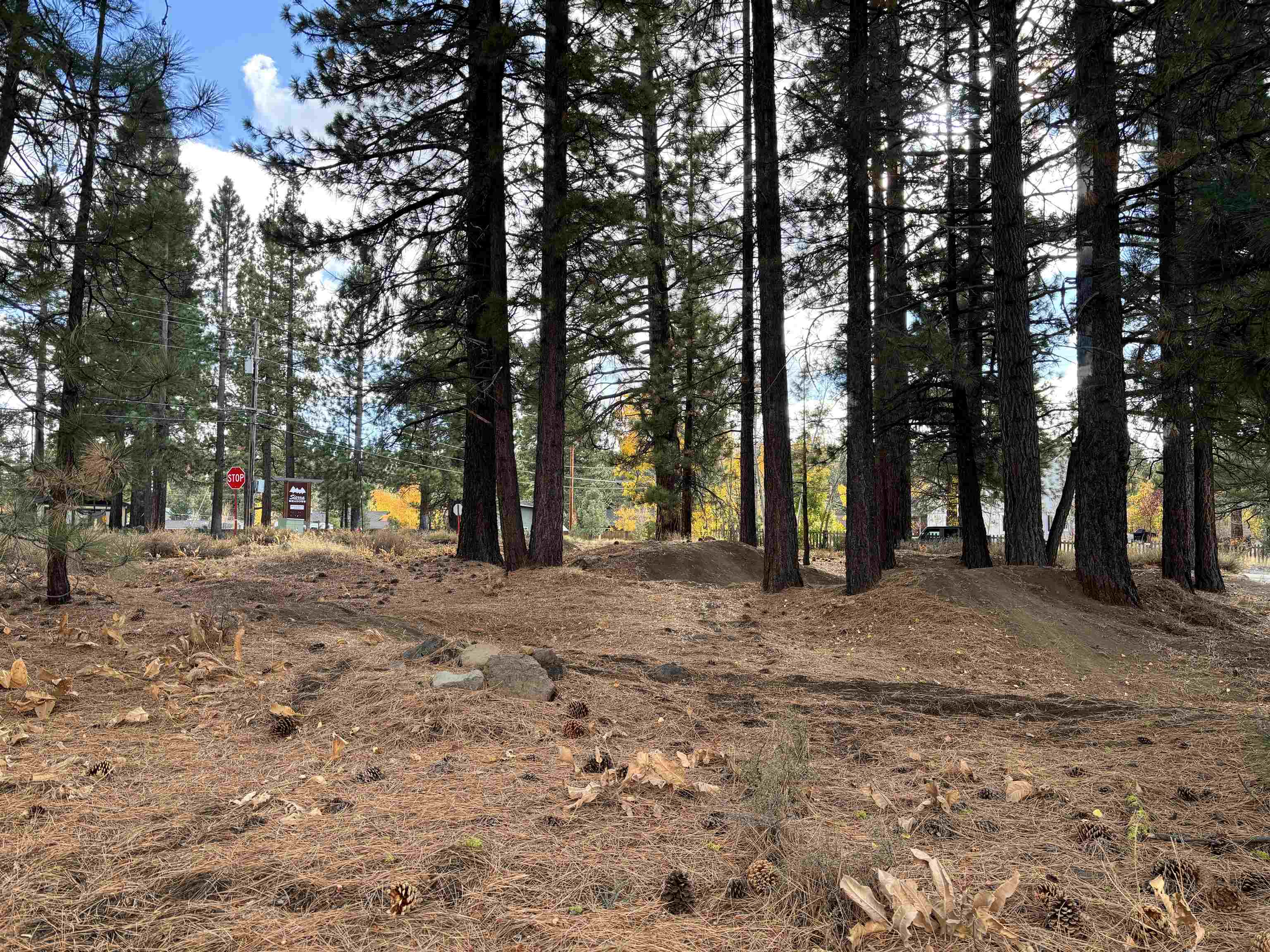 10294 Sugar Pine Road
