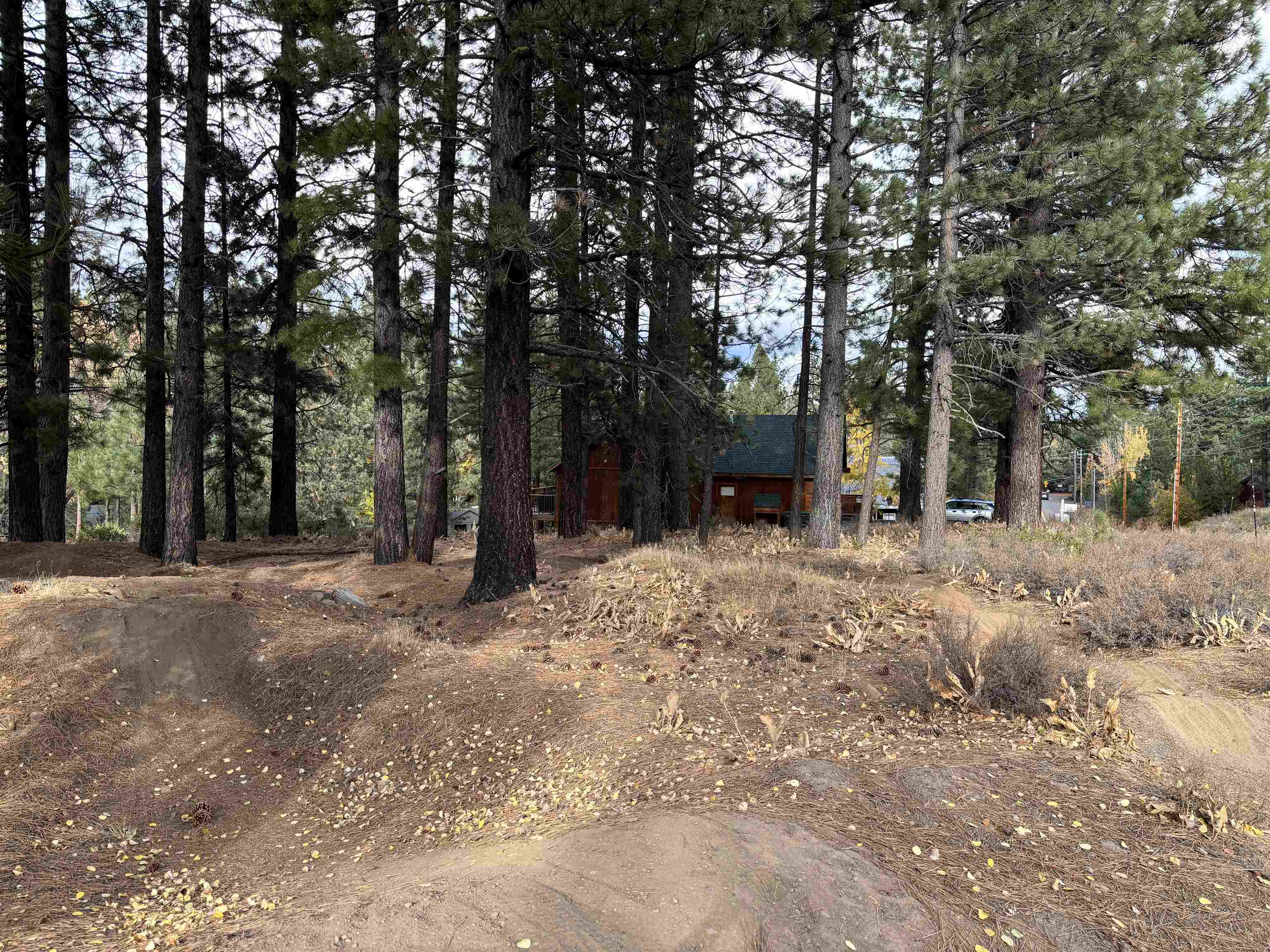 10294 Sugar Pine Road