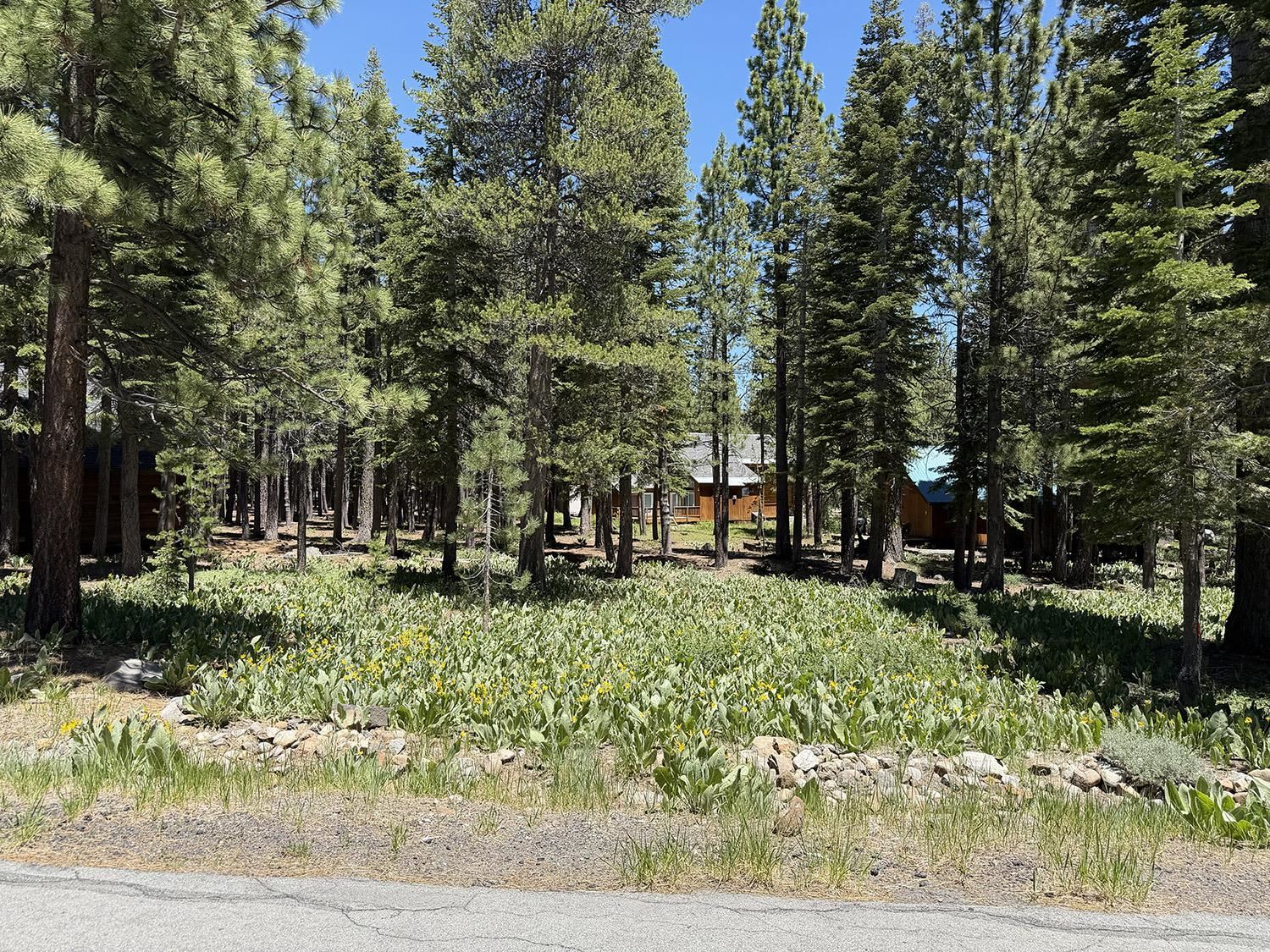 11681 Chalet Road