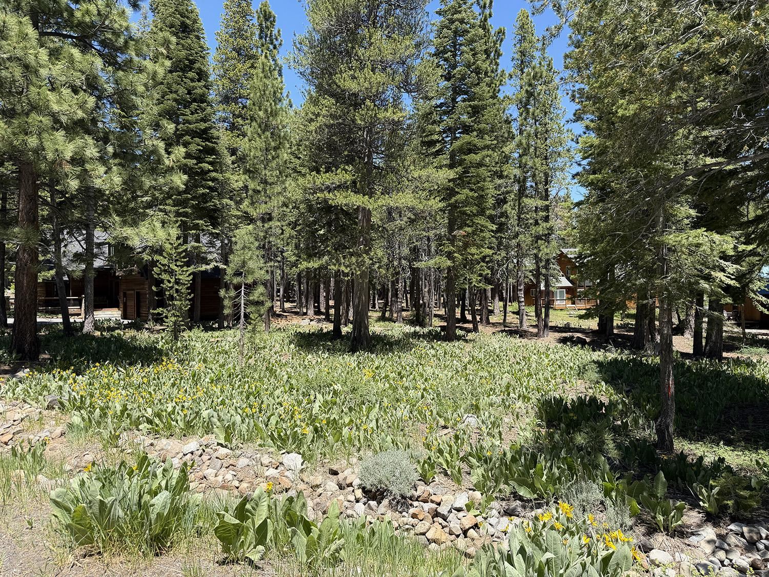 11681 Chalet Road