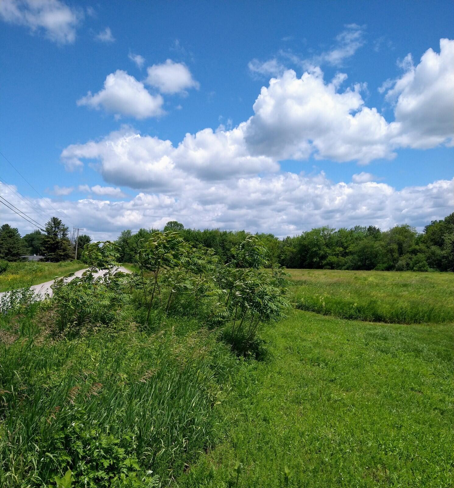 395 Moosehead Trail, A/B