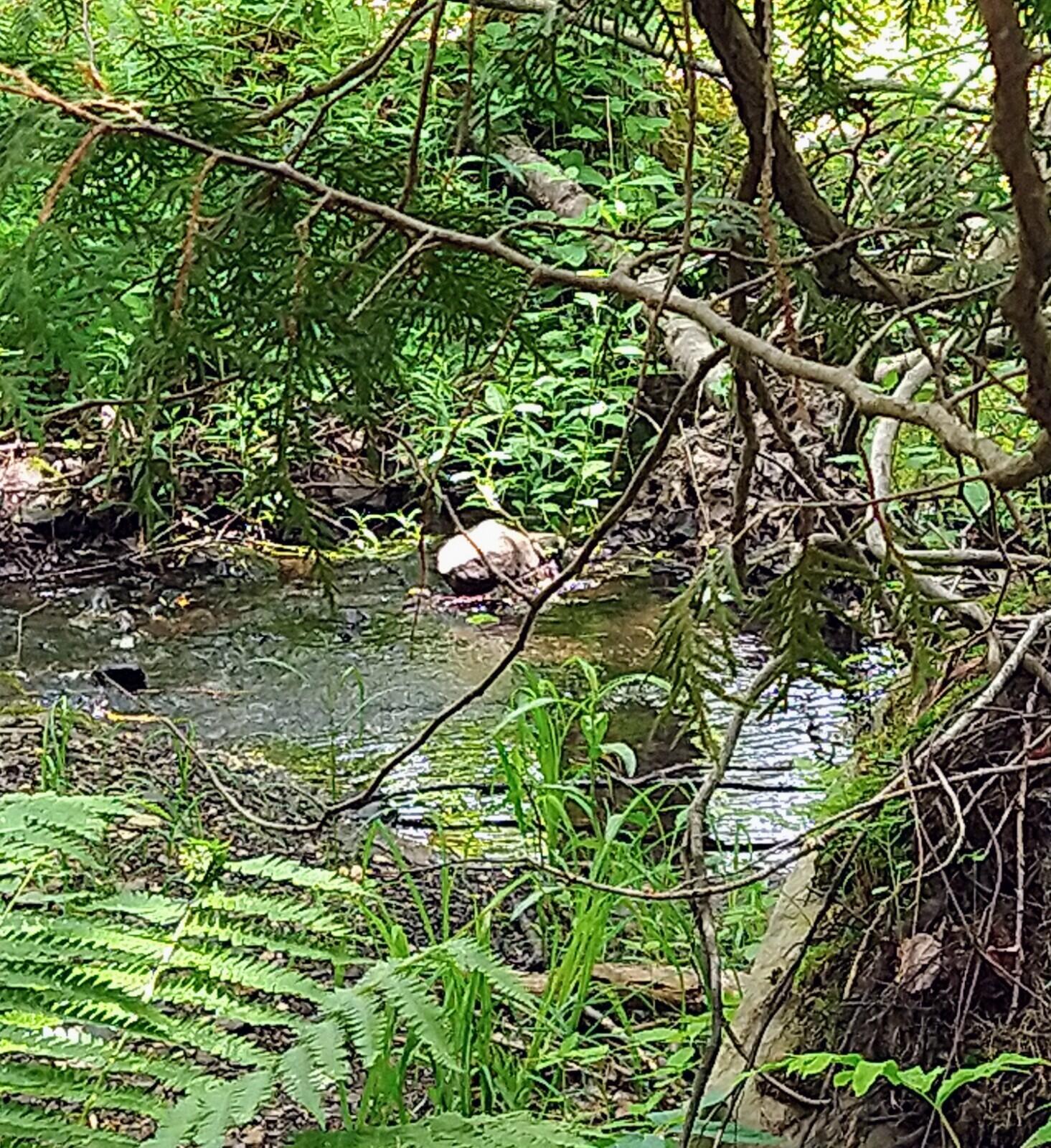 395 Moosehead Trail, A/B