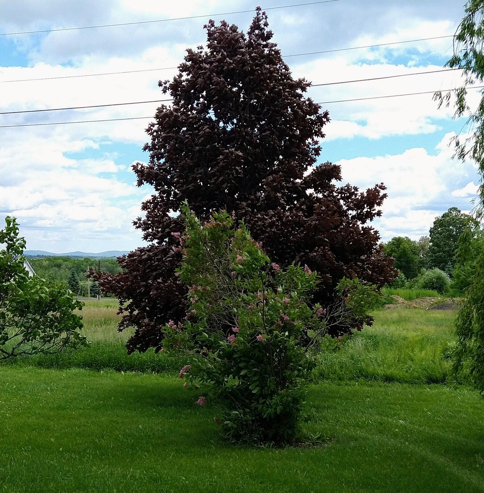 395 Moosehead Trail, A/B