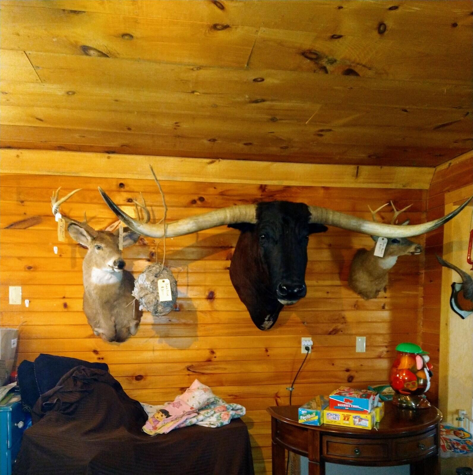 395 Moosehead Trail, A/B