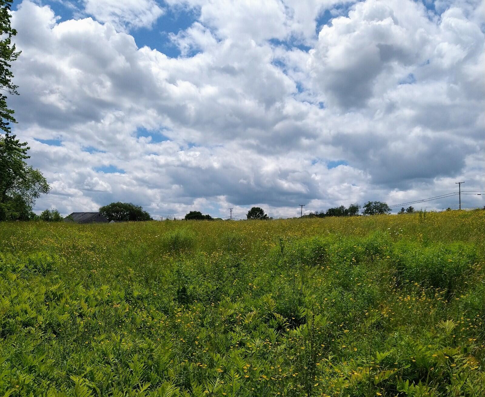 395 Moosehead Trail, A/B