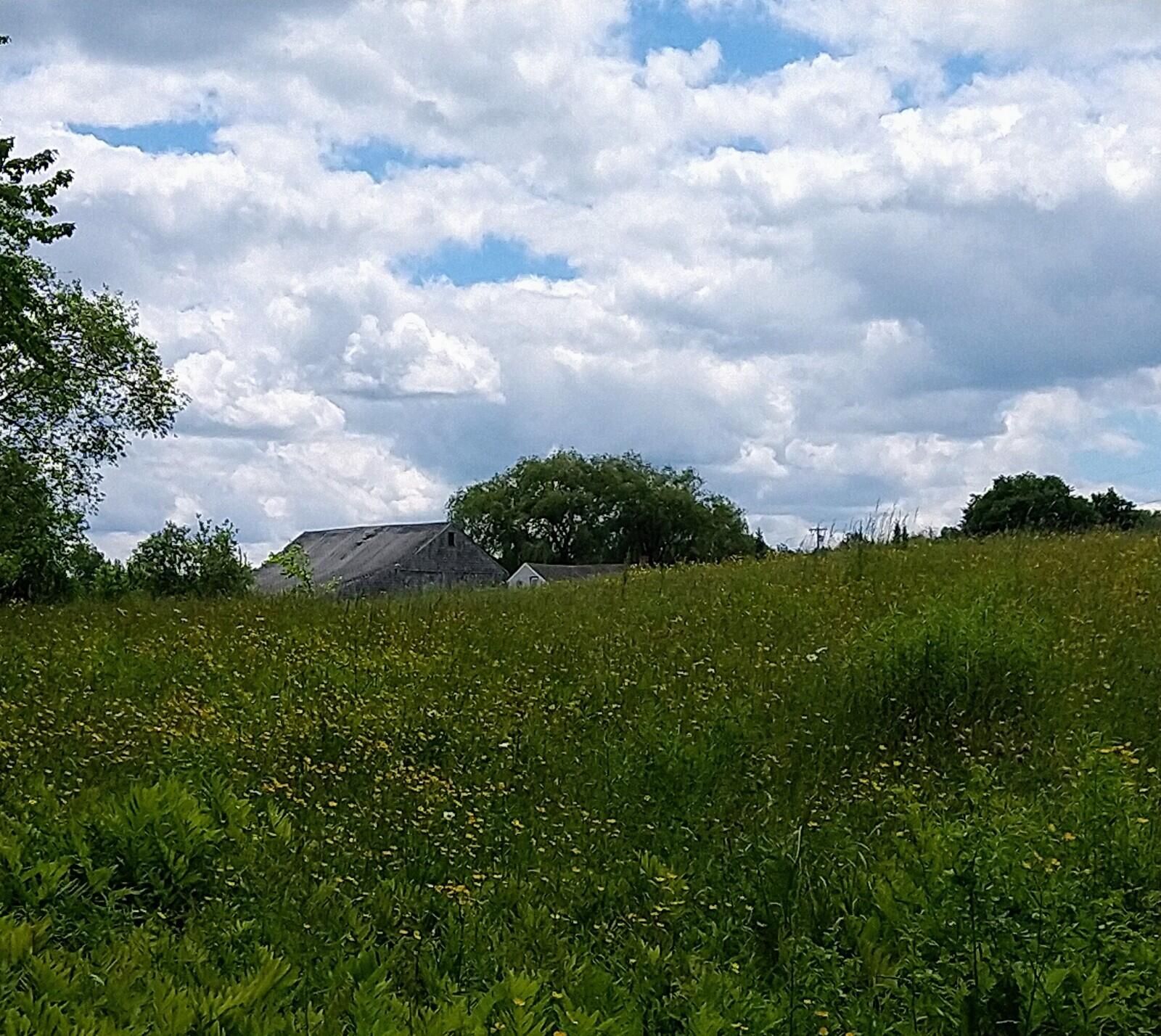 395 Moosehead Trail, A/B