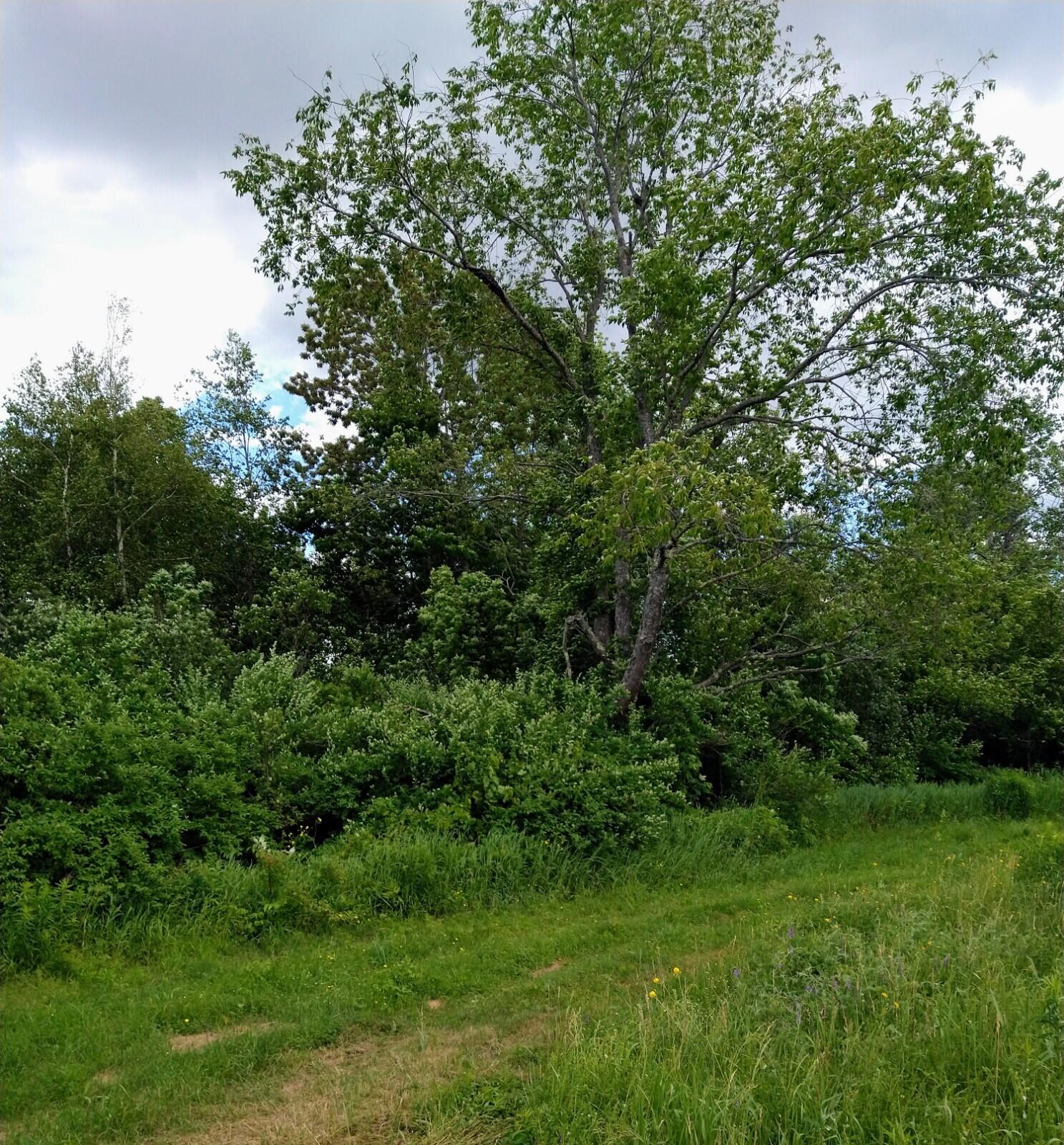 395 Moosehead Trail, A/B